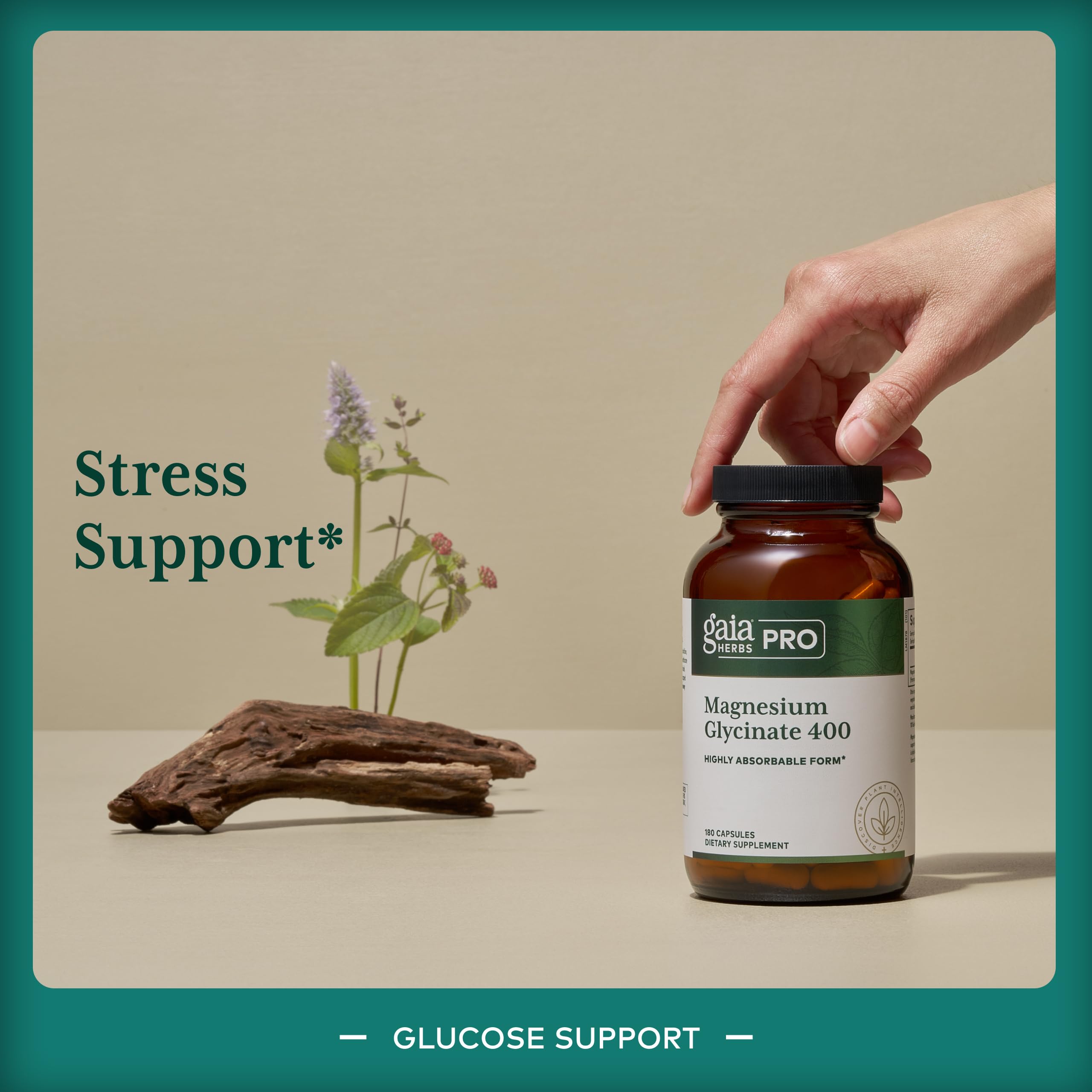Cápsulas Gaia Herbs PRO en mano para comparar tamaño y dosificación