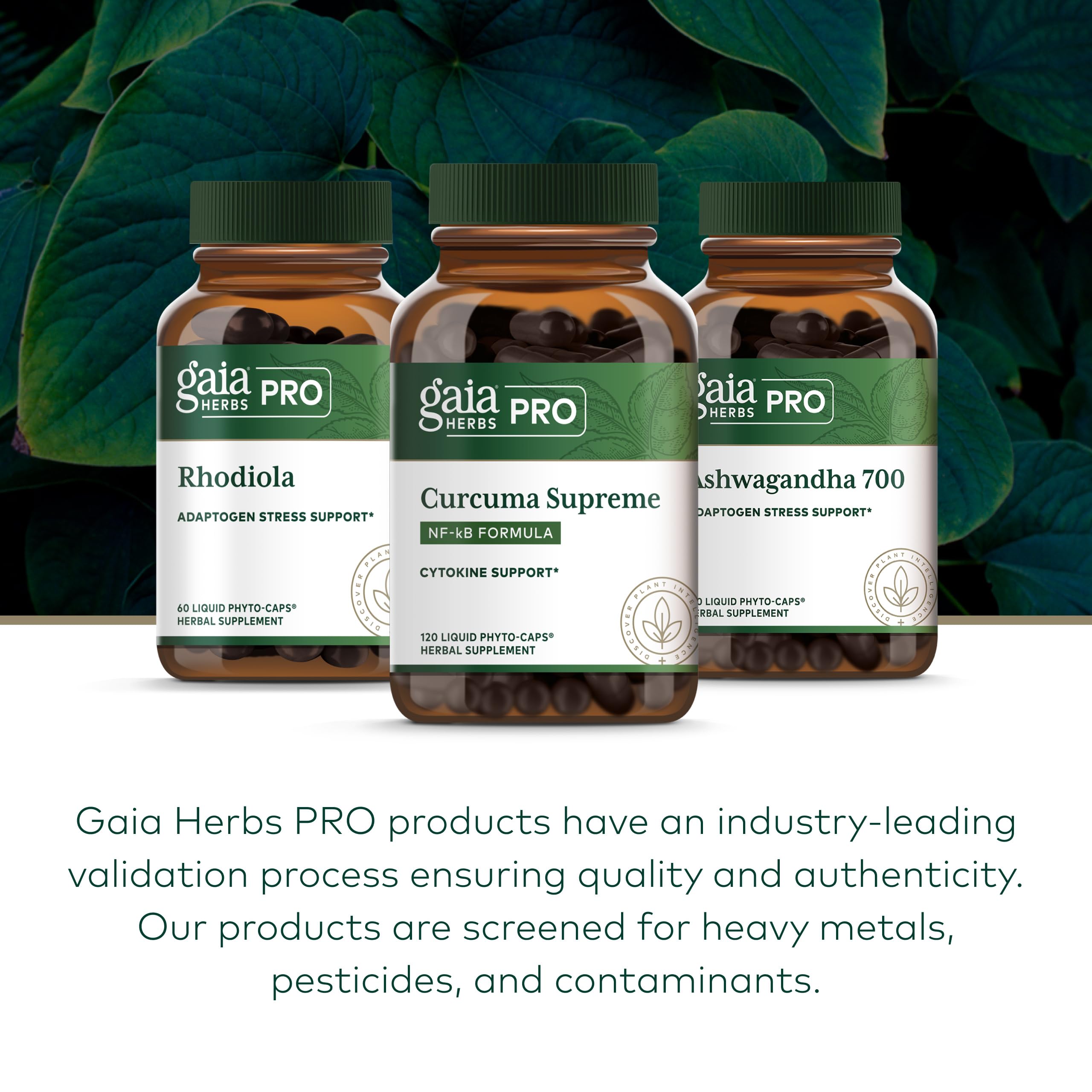 GAIA HERBS PRO cápsulas junto a un desayuno para uso cotidiano