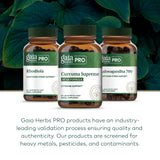 GAIA HERBS PRO etiqueta de ingredientes destacando cúrcuma y pimienta negra orgánica