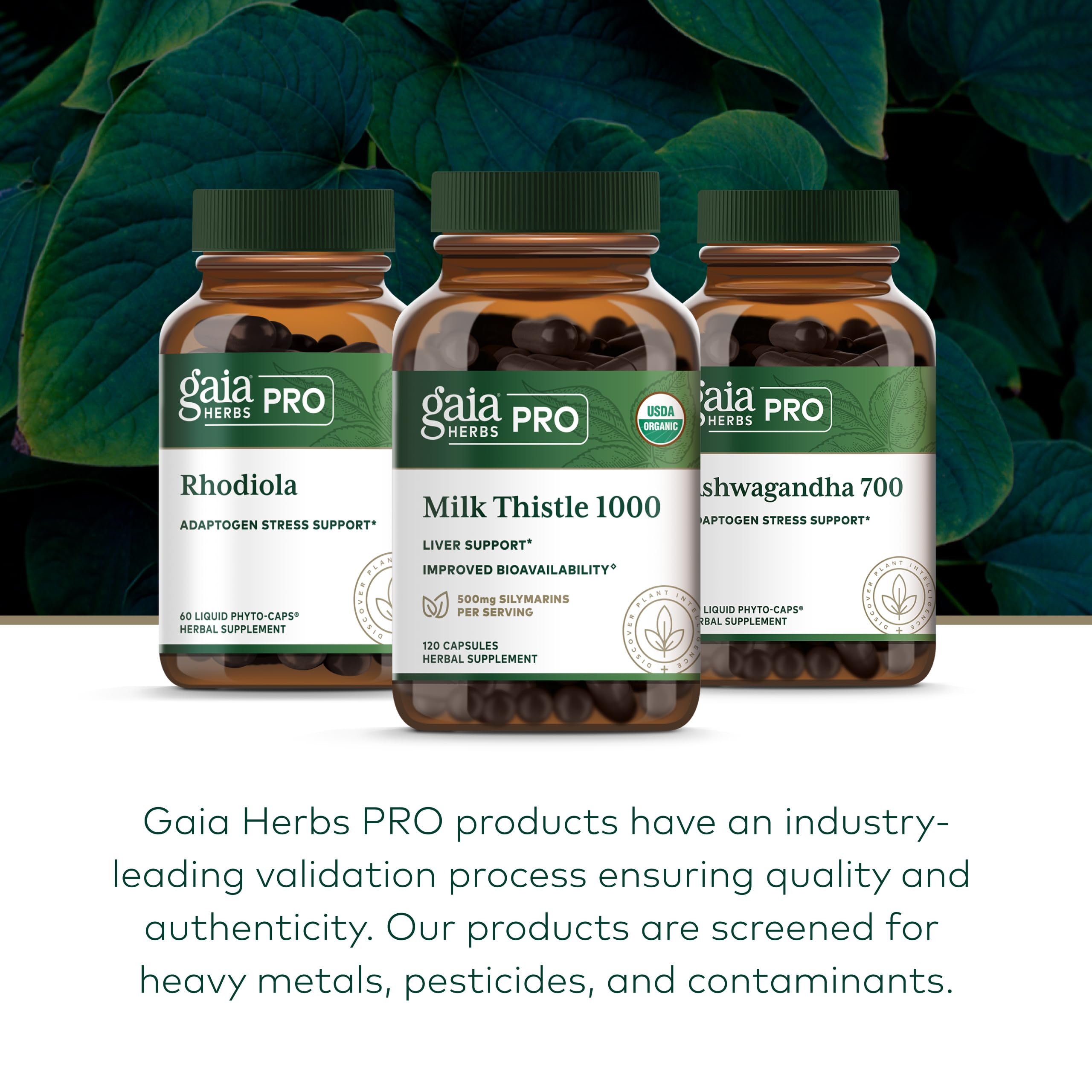 Gaia Herbs PRO paisaje de finca regenerativa destacando cultivo orgánico