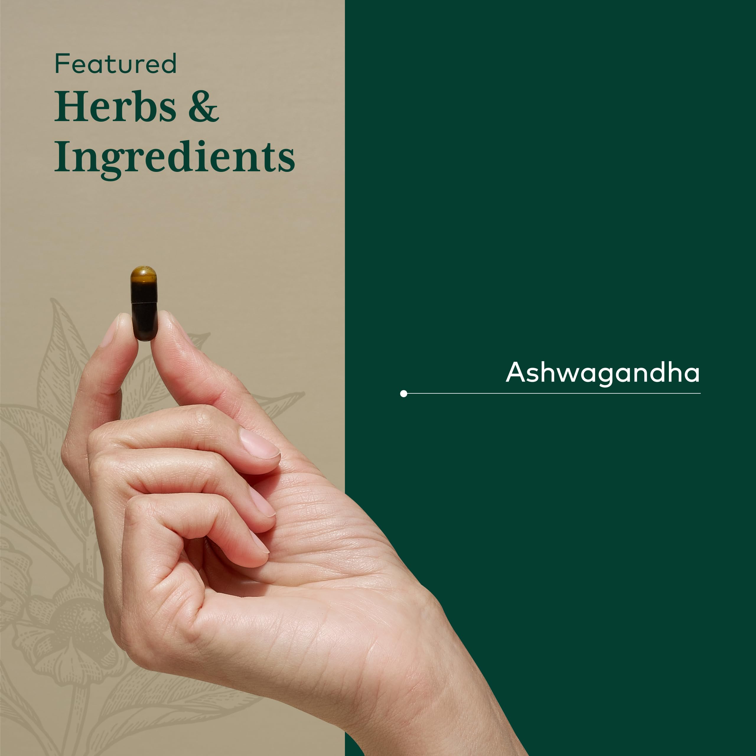 Gaia Herbs PRO cápsula en mano indica tamaño y fácil ingestión