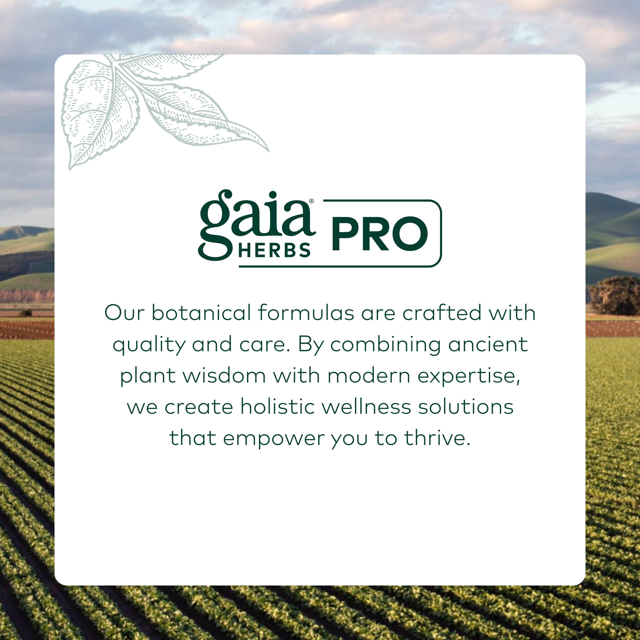 Gaia Herbs PRO en cocina estilo de vida mostrando integración en rutina diaria