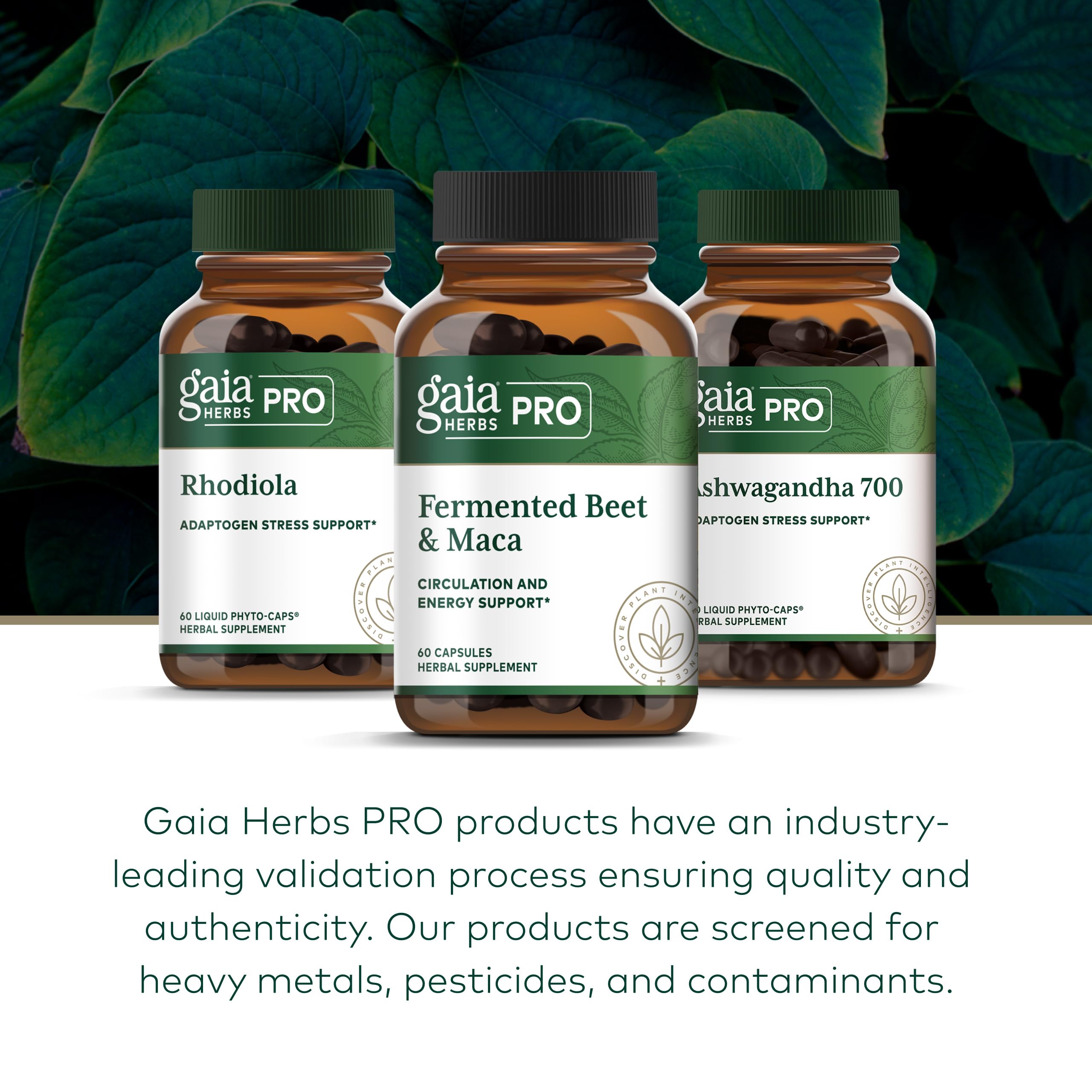 Campo regenerativo de Gaia Herbs PRO mostrando cultivo sostenible y origen