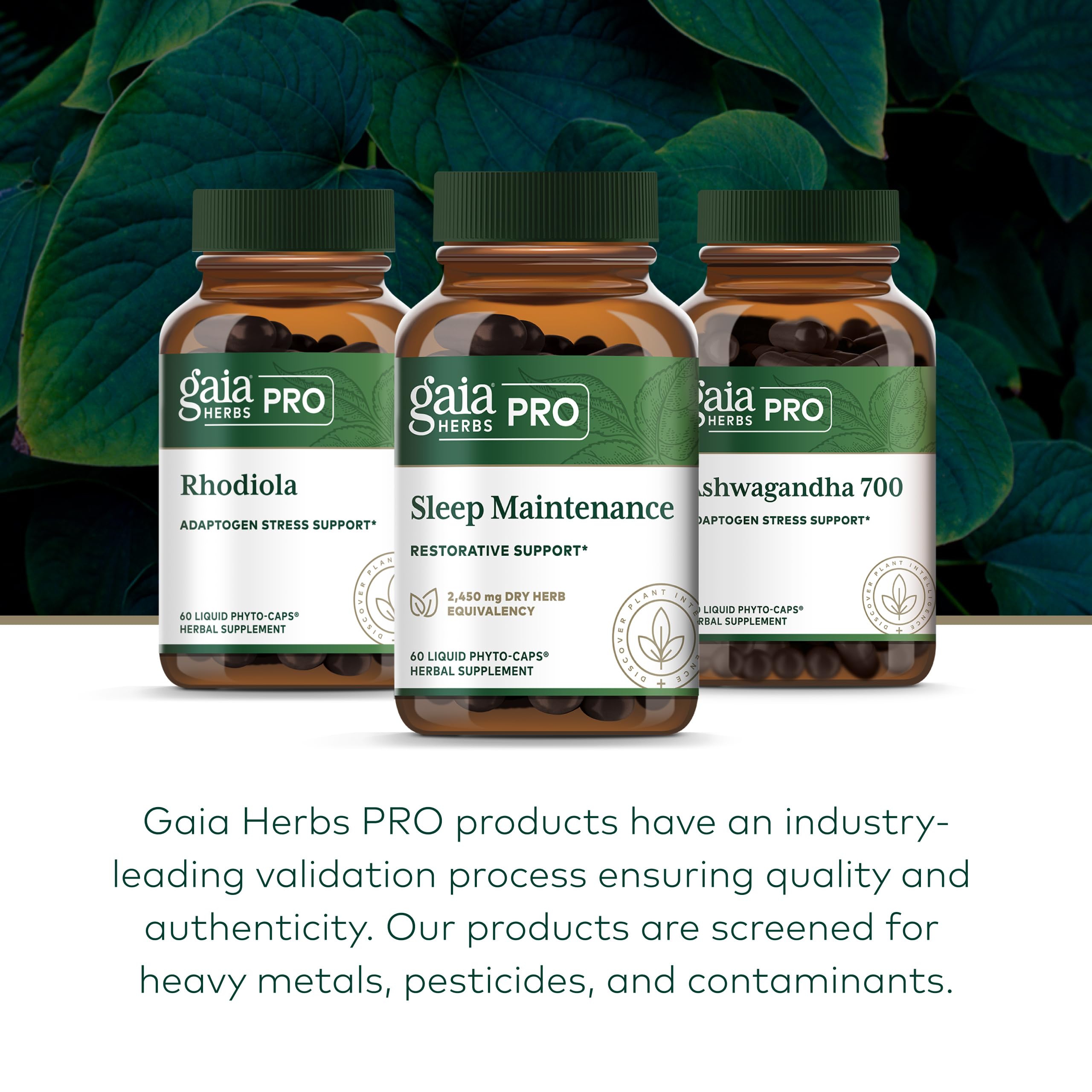 Gaia Herbs PRO frasco en mesa en ambiente relajante para uso nocturno