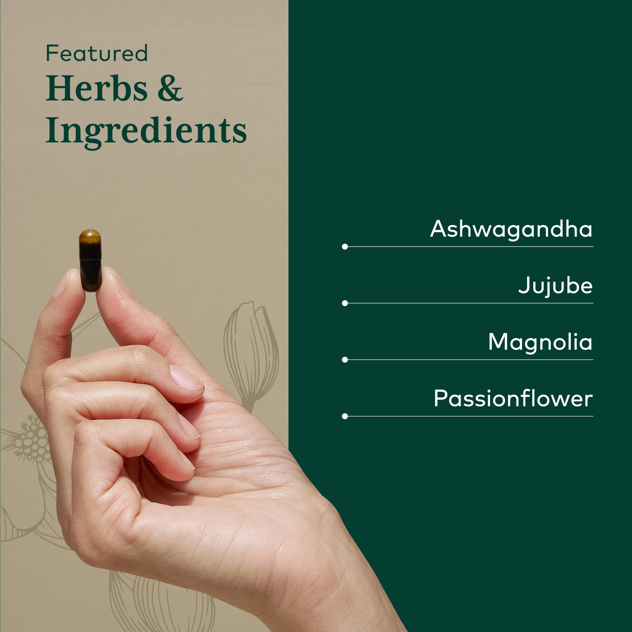 Gaia Herbs PRO ingredientes ashwagandha magnolia jujube en primer plano