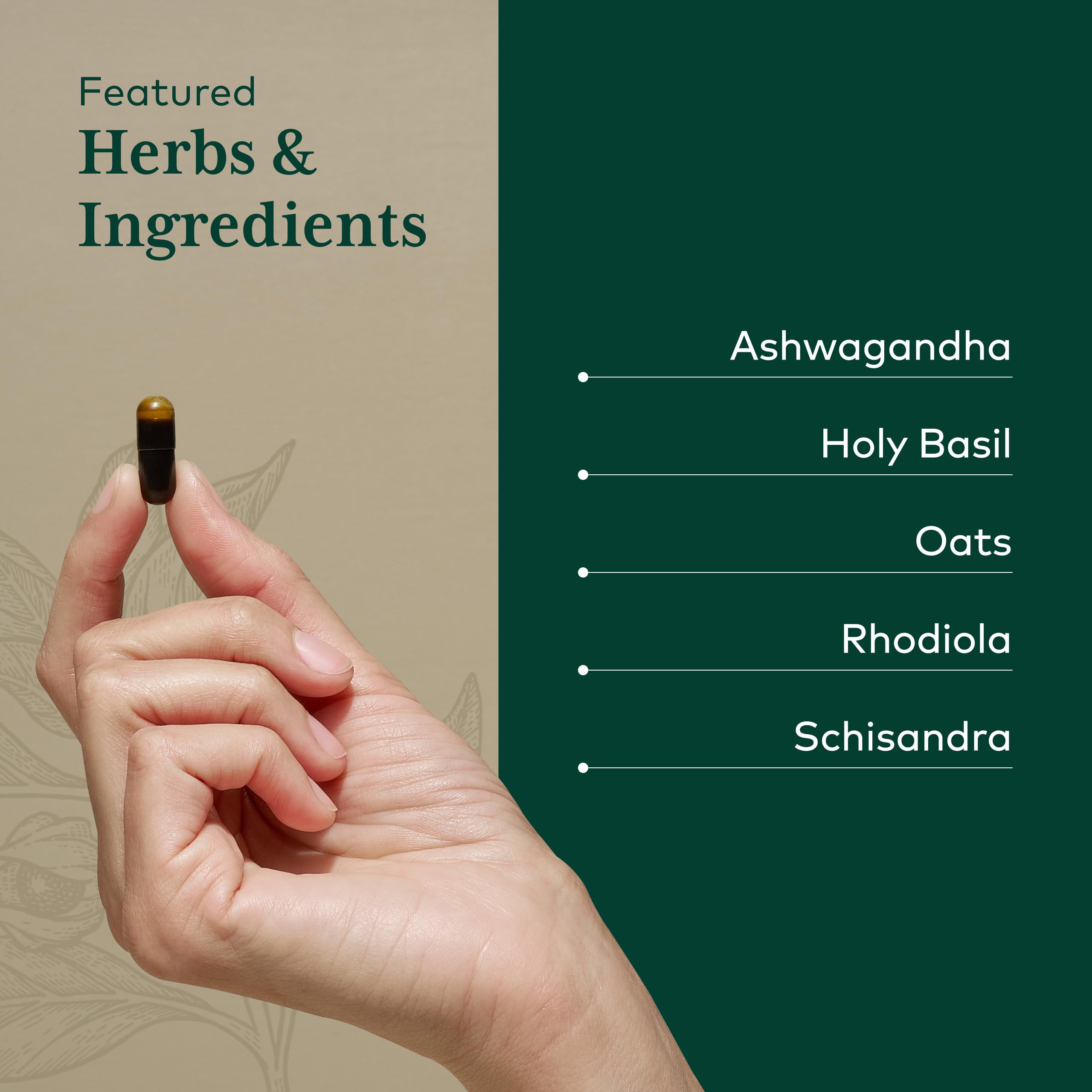 GAIA HERBS PRO combinación de ashwagandha rhodiola y schisandra visible