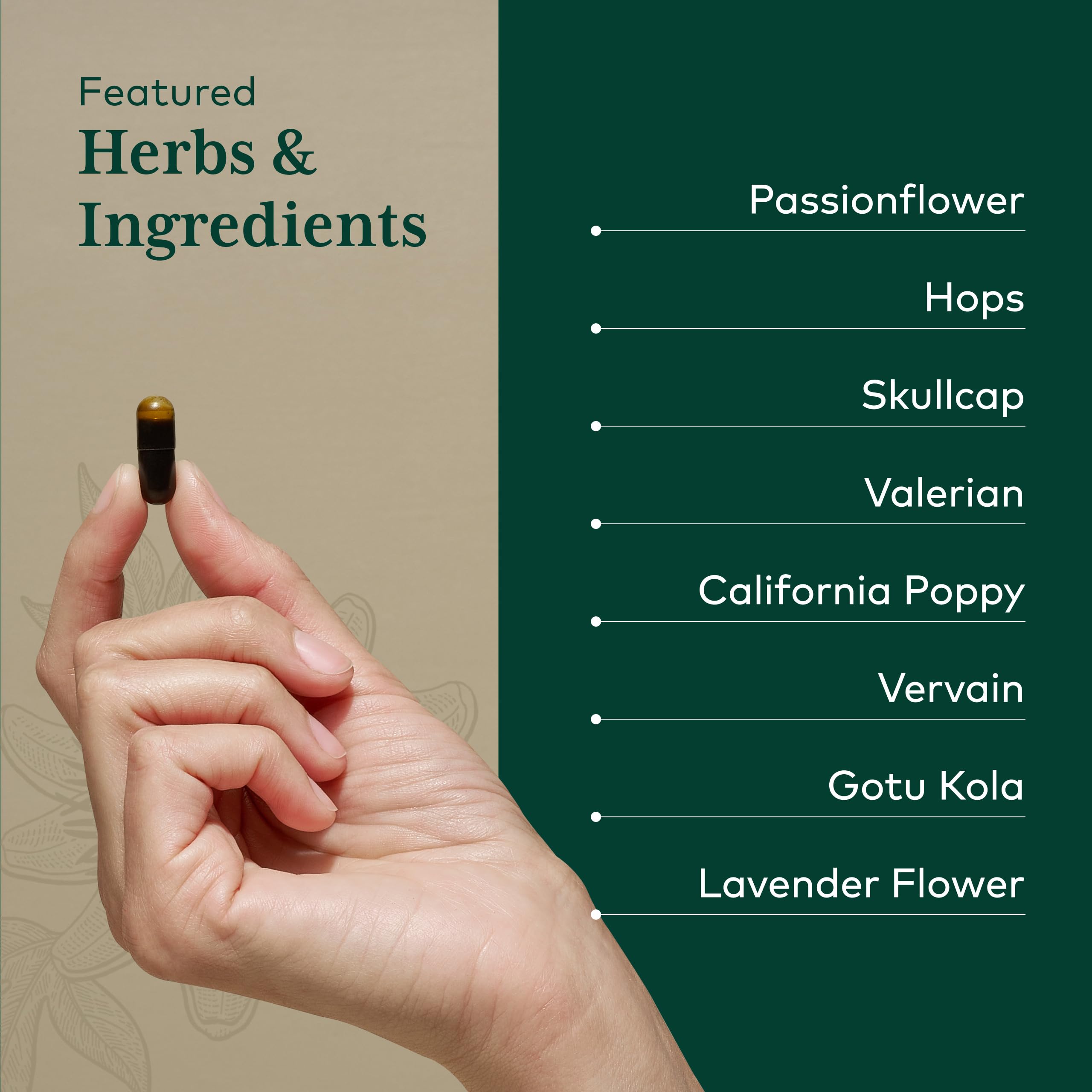 Gaia Herbs PRO ingredientes: valeriana y pasiflora, apoyo herbal para conciliación del sueño