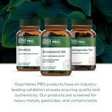 Gaia Herbs Pro plantación de Japanese knotweed fuente natural del extracto