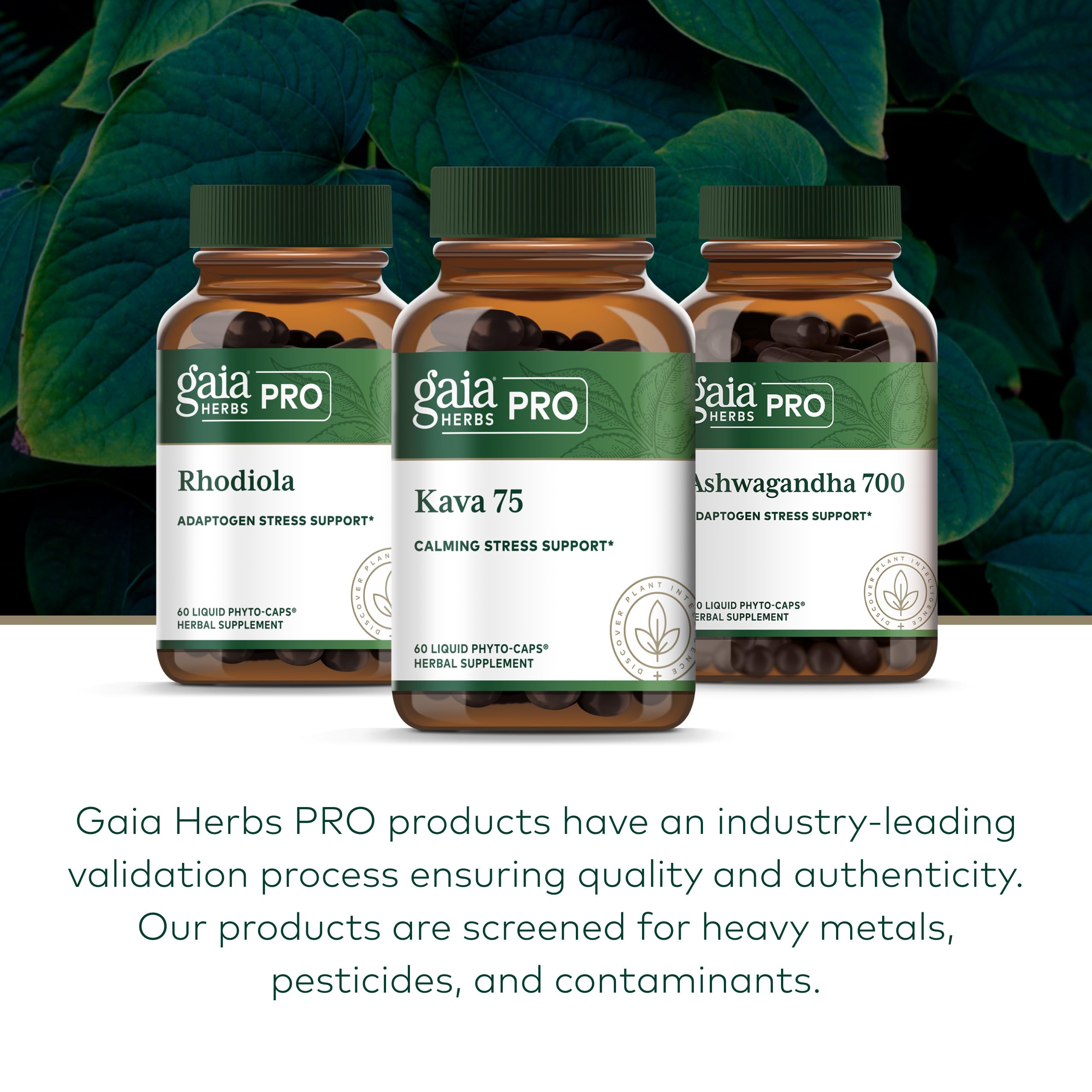 Gaia Herbs PRO comparación de tamaño del frasco para referencia visual