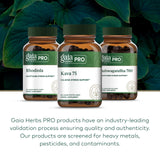 Gaia Herbs PRO comparación de tamaño del frasco para referencia visual