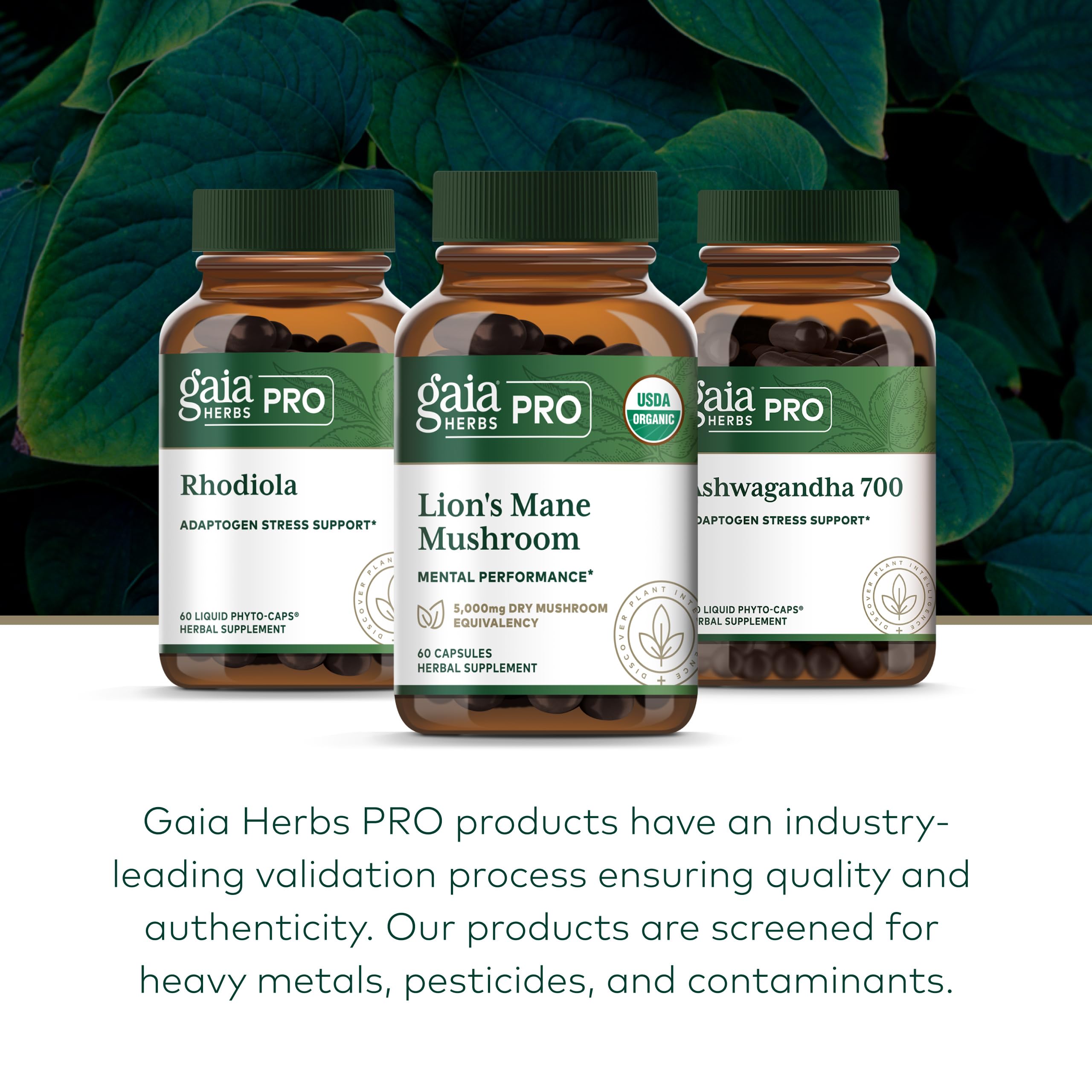 Gaia Herbs PRO cápsula en mano para ilustrar dosis y comodidad de consumo