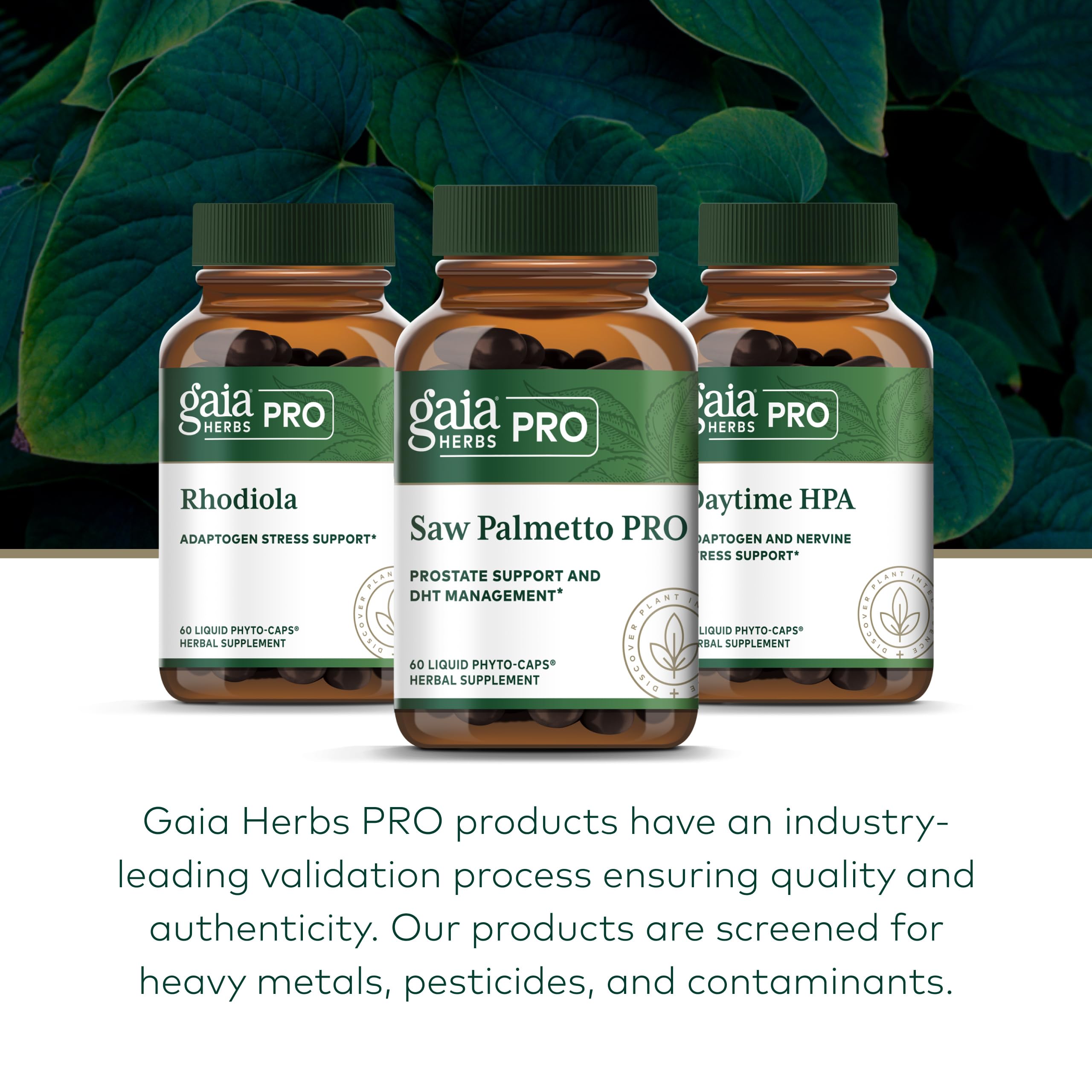 GAIA HERBS PRO cápsula en mano para comparar tamaño y conveniencia