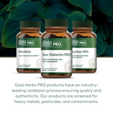 GAIA HERBS PRO cápsula en mano para comparar tamaño y conveniencia