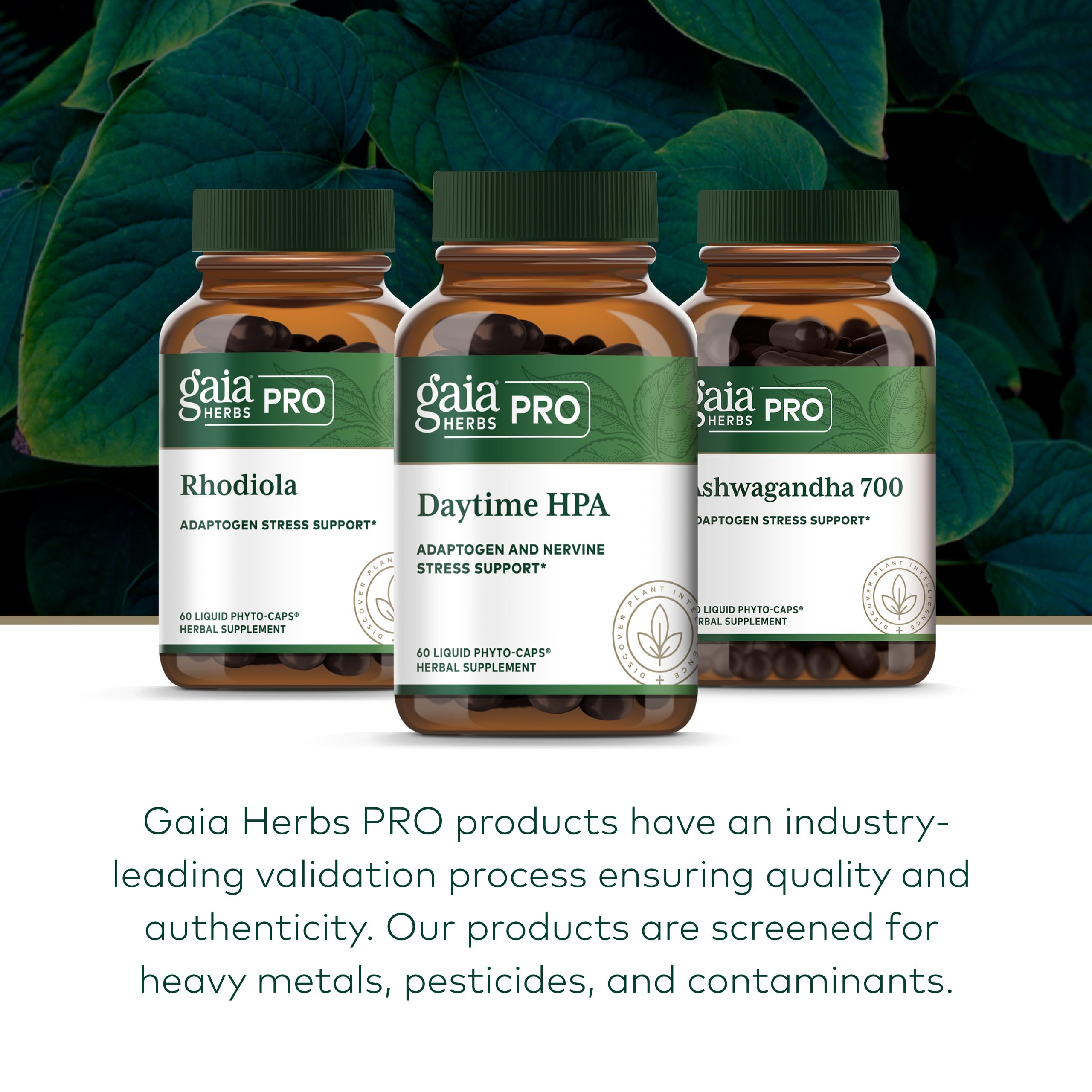 GAIA HERBS PRO cápsula junto a una mano para comparar tamaño fácilmente