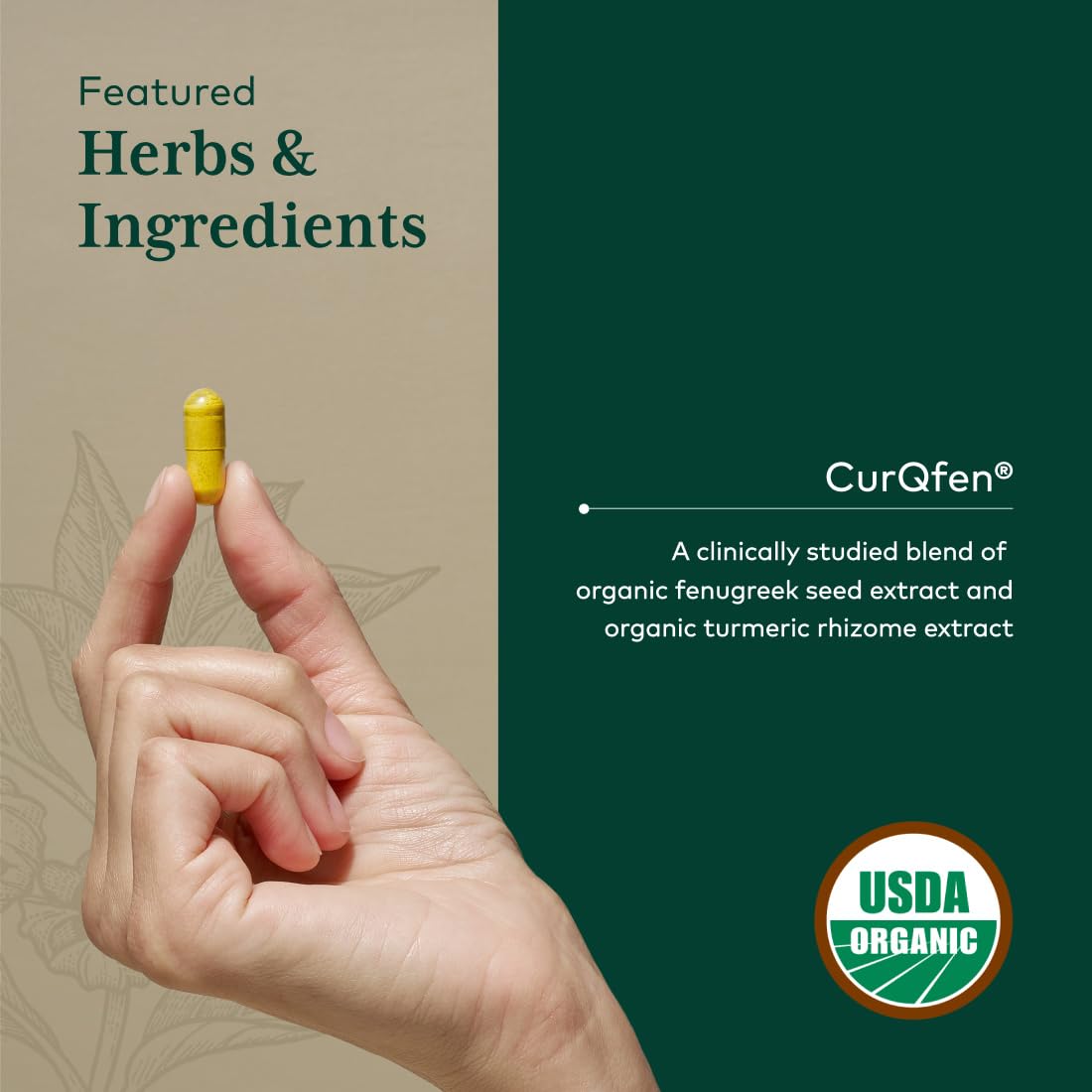 Gaia Herbs PRO textura del polvo de cúrcuma dentro de cápsula, puro