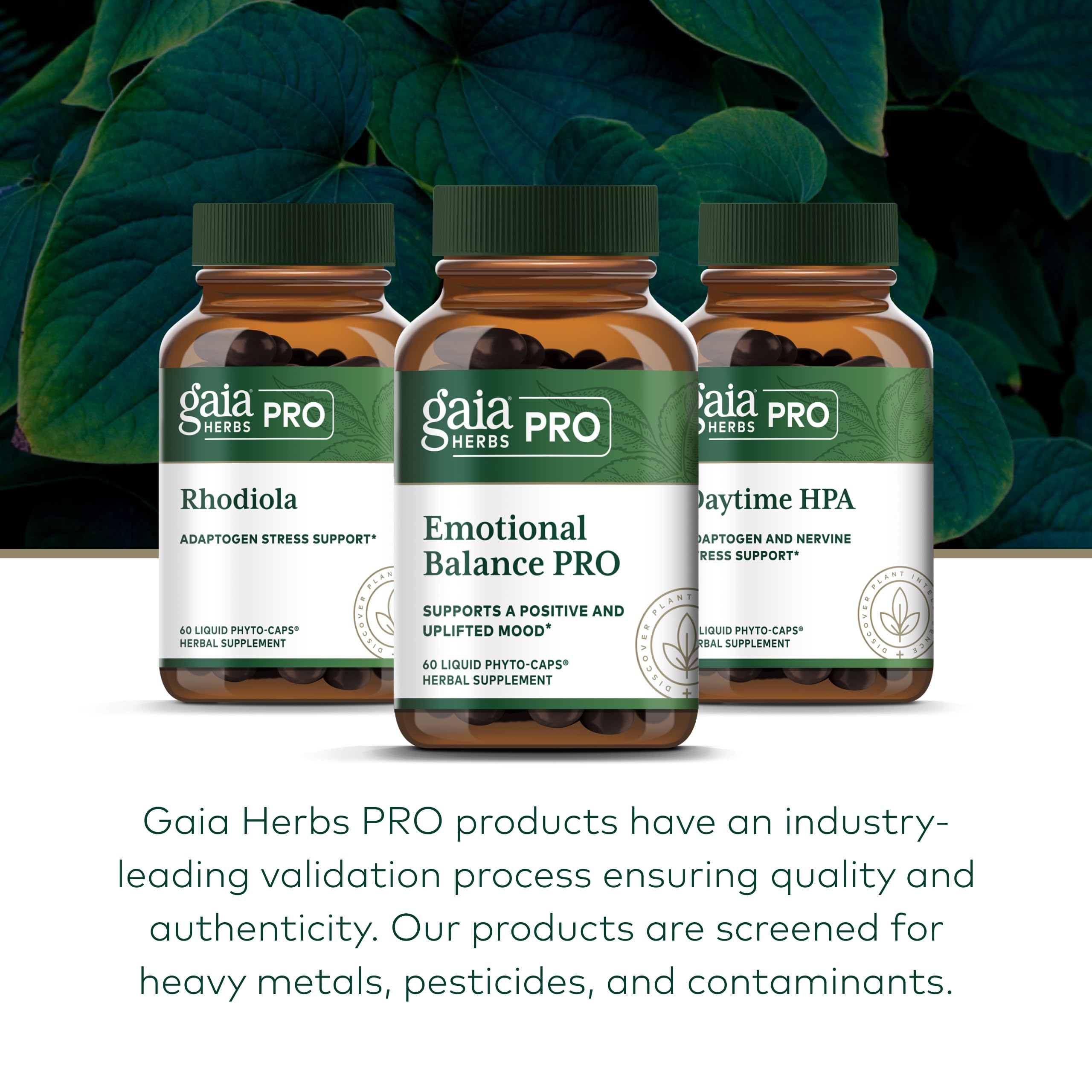 Gaia Herbs PRO cápsula en mano mostrando escala y conveniencia