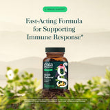 Gaia Herbs ingredientes con saúco y echinacea resaltando origen orgánico