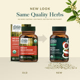 Gaia Herbs reishi seco e ingredientes para ilustrar origen natural y control