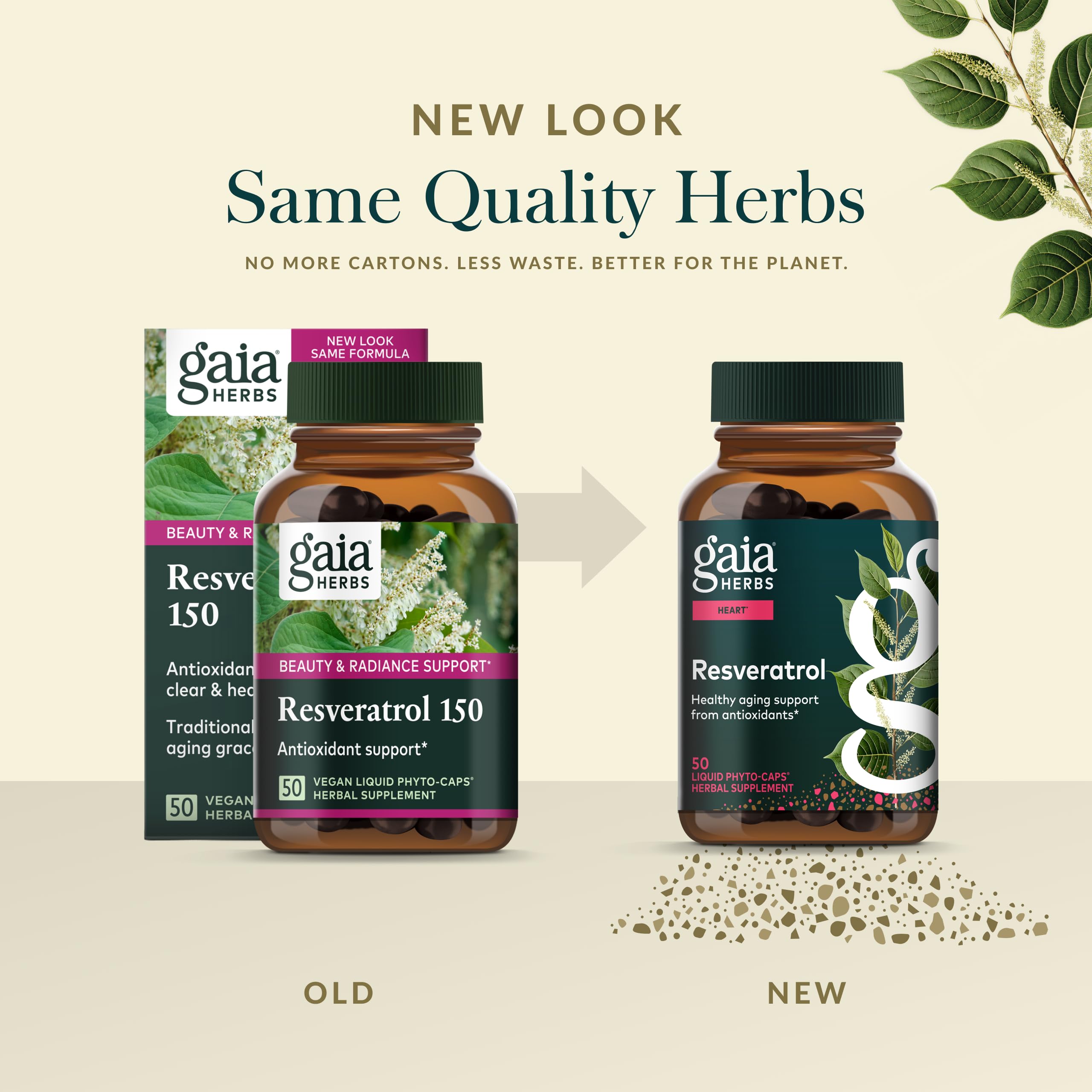 Gaia Herbs raíz de knotweed japonés como fuente natural de resveratrol