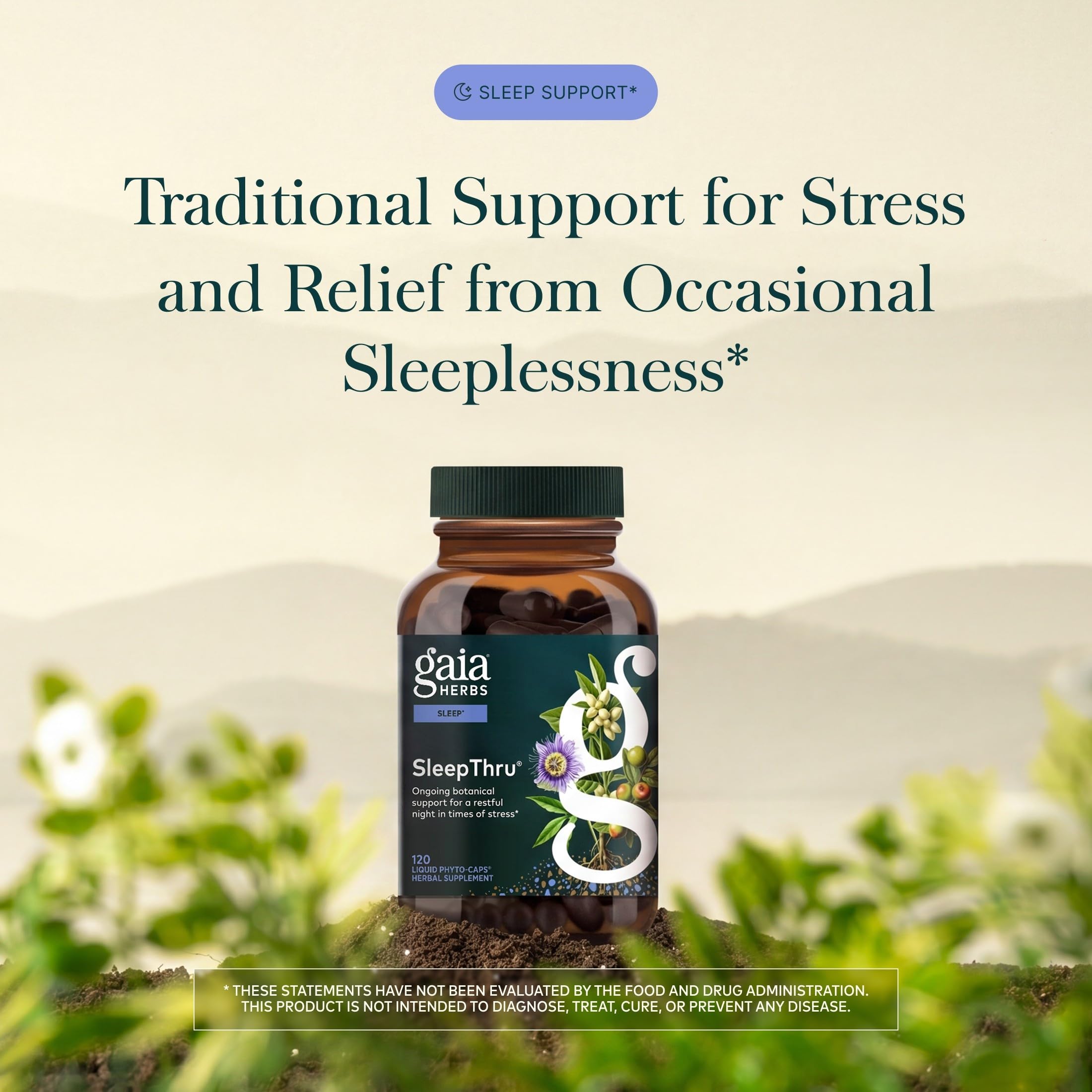 Gaia Herbs raíz de ashwagandha en primer plano, apoyo adaptógeno natural