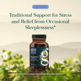 Gaia Herbs raíz de ashwagandha en primer plano, apoyo adaptógeno natural