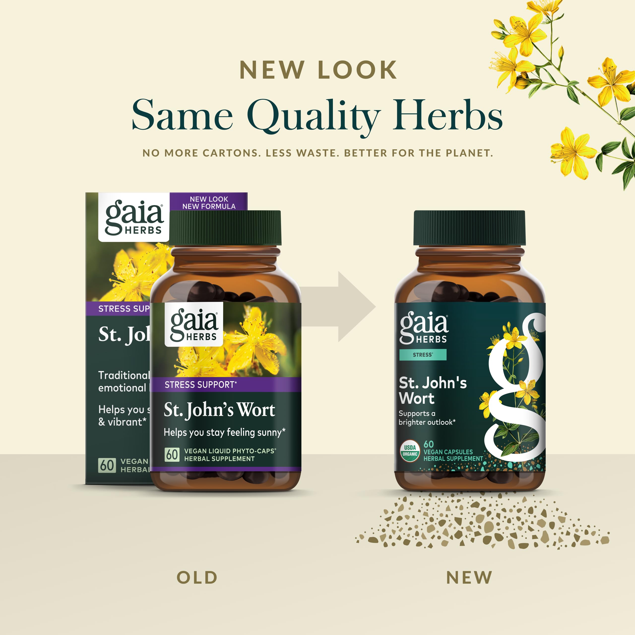 Escena matutina con Gaia Herbs St. John's Wort para ilustrar integración en rutina diaria