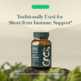 Gaia Herbs primer plano de cápsula mostrando aceite y pureza