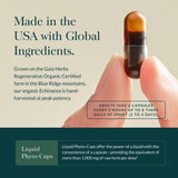 Gaia Herbs primer plano del extracto para apreciar textura y pureza
