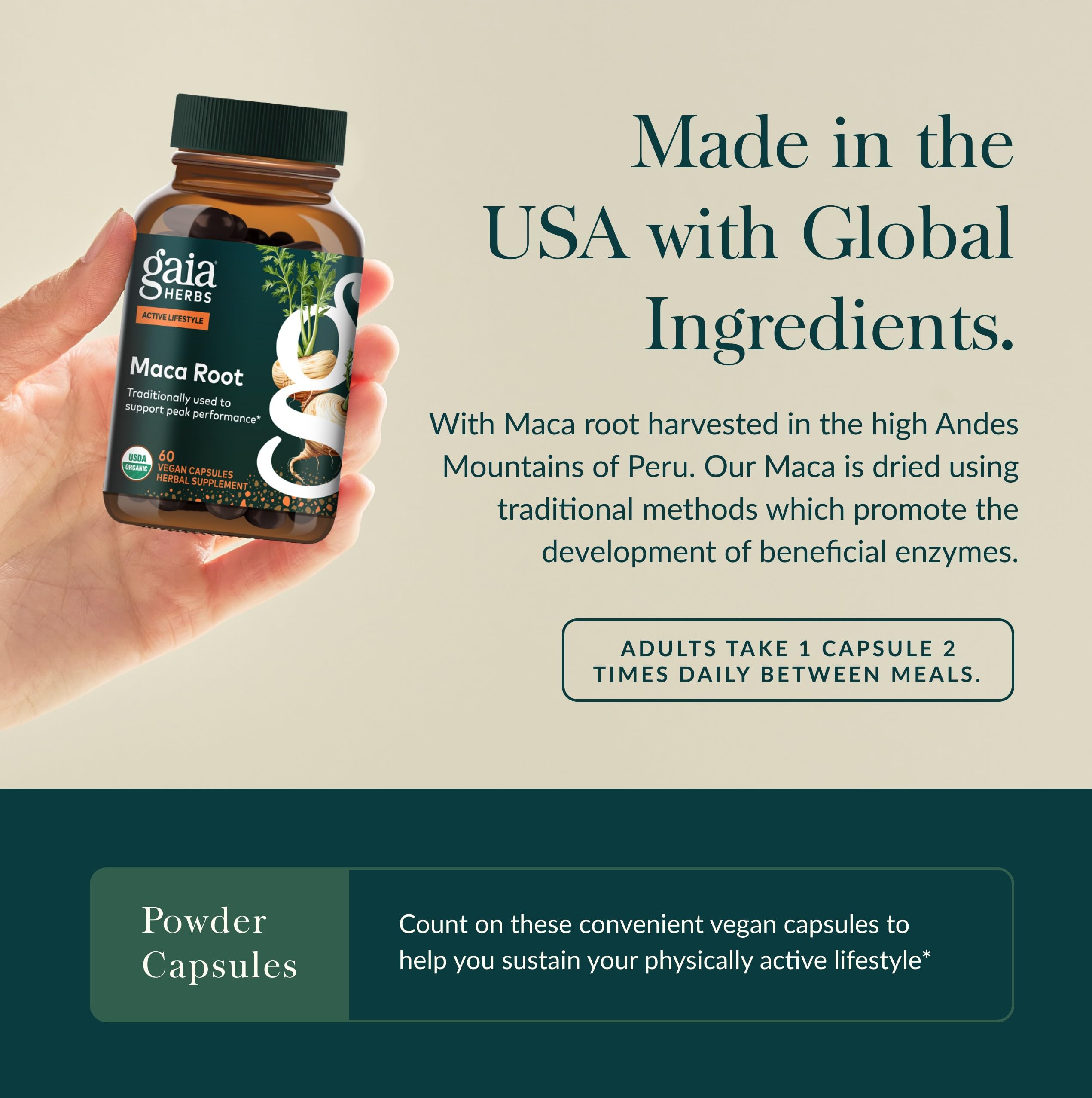 Gaia Herbs primer plano del polvo de maca gelatinizada mostrando textura