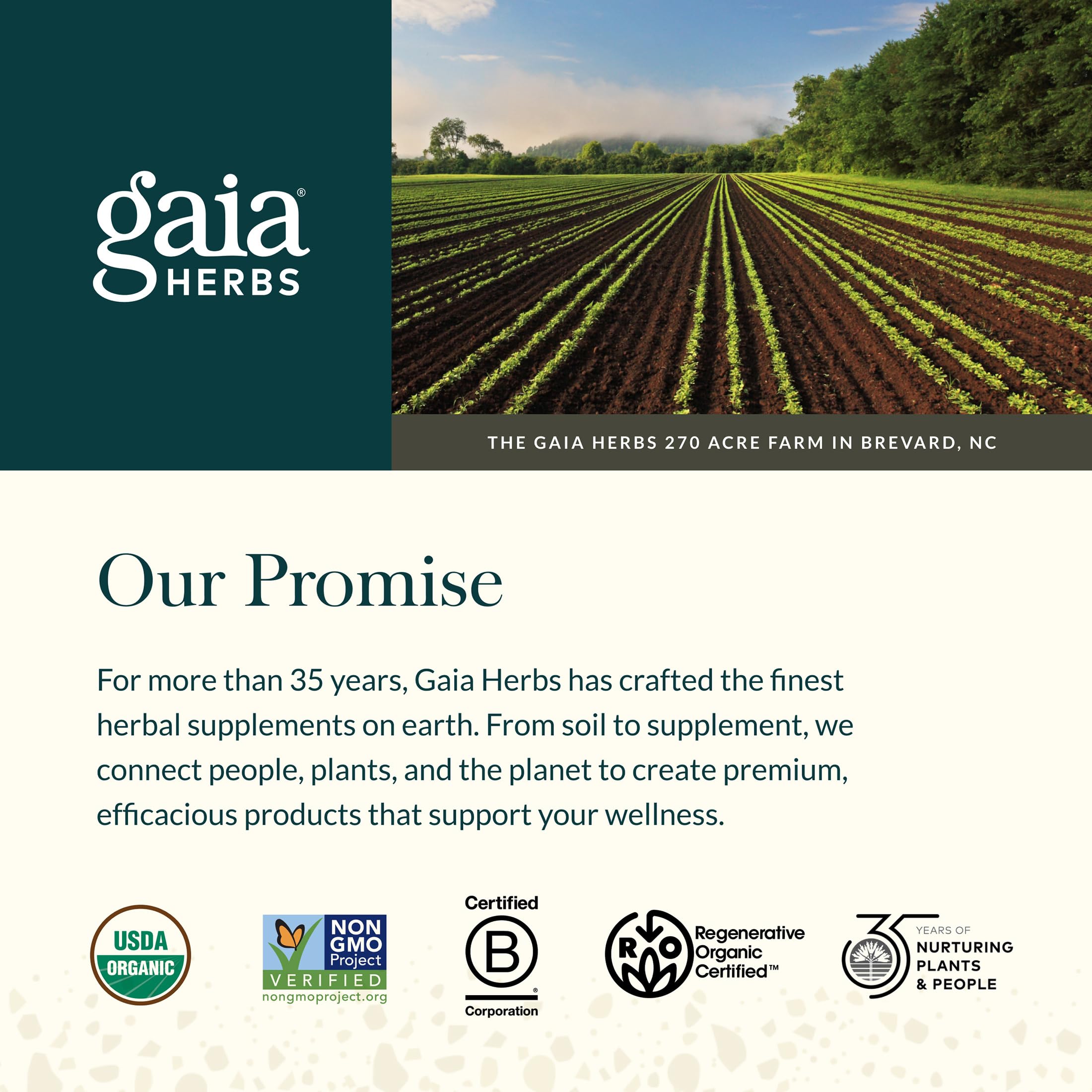Gaia Herbs de manos sosteniendo cápsulas para uso diario práctico