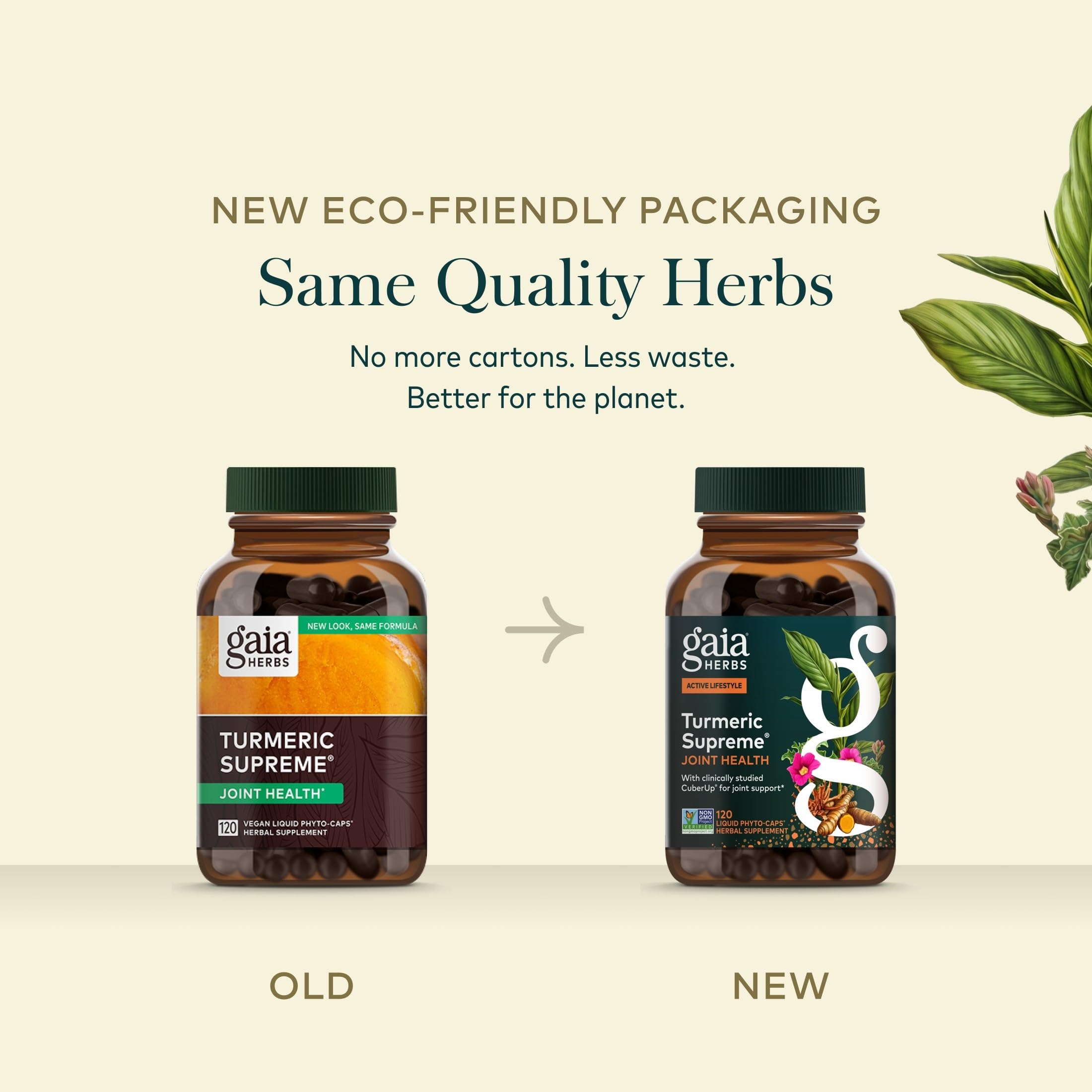 Gaia Herbs frasco en mesa de cocina mostrando uso diario práctico