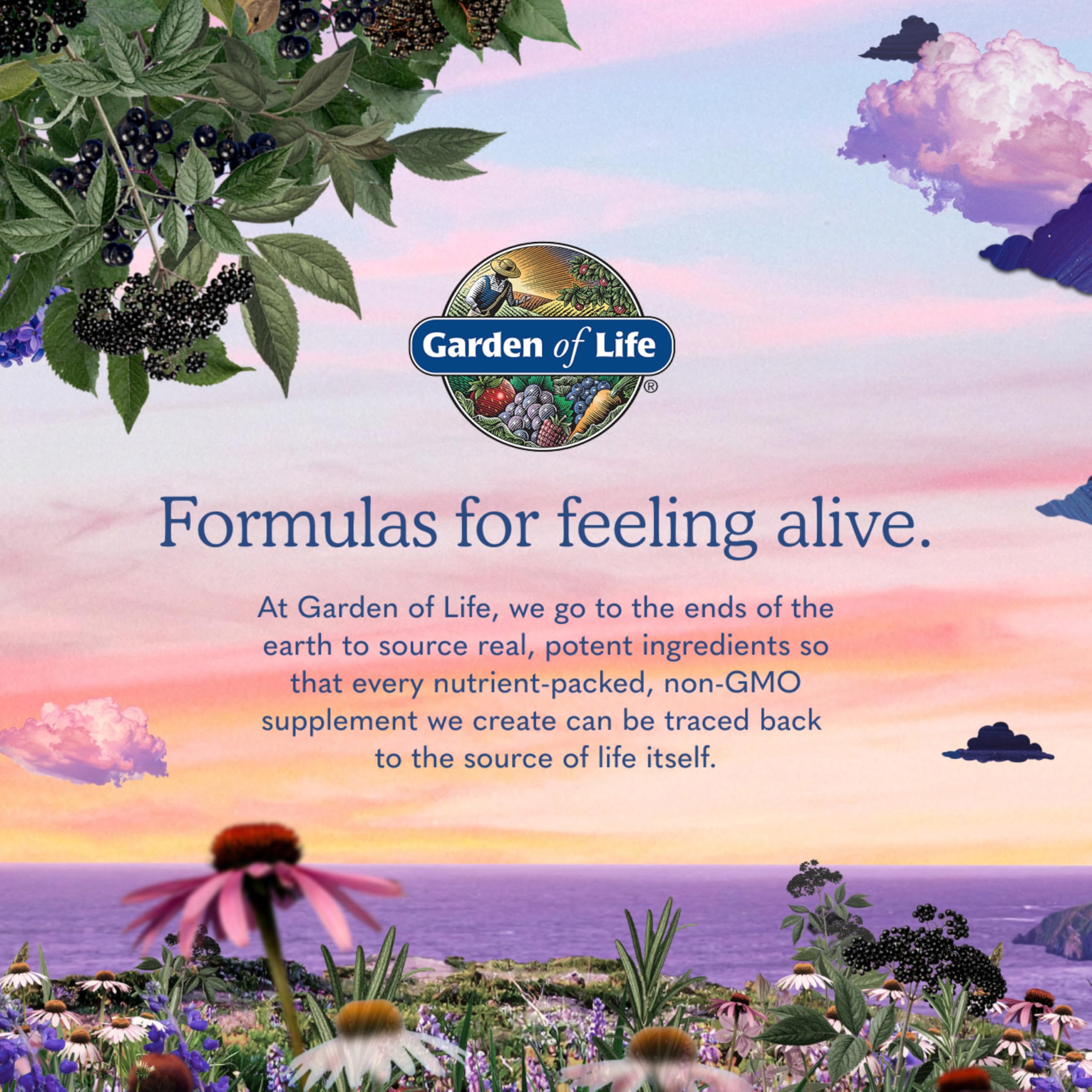 Garden of Life caja abierta con 60 tabletas lista para uso diario
