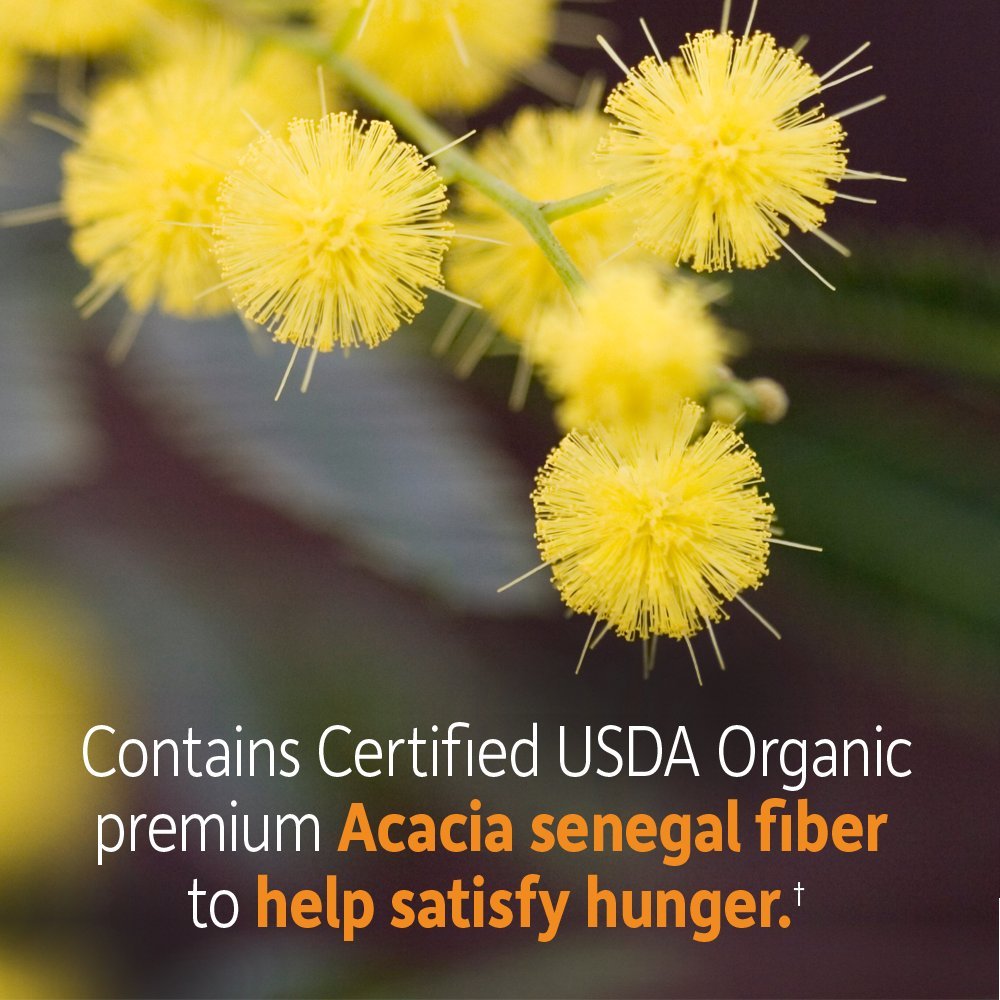 Garden of Life primer plano de ingredientes orgánicos en polvo y beneficios prebióticos