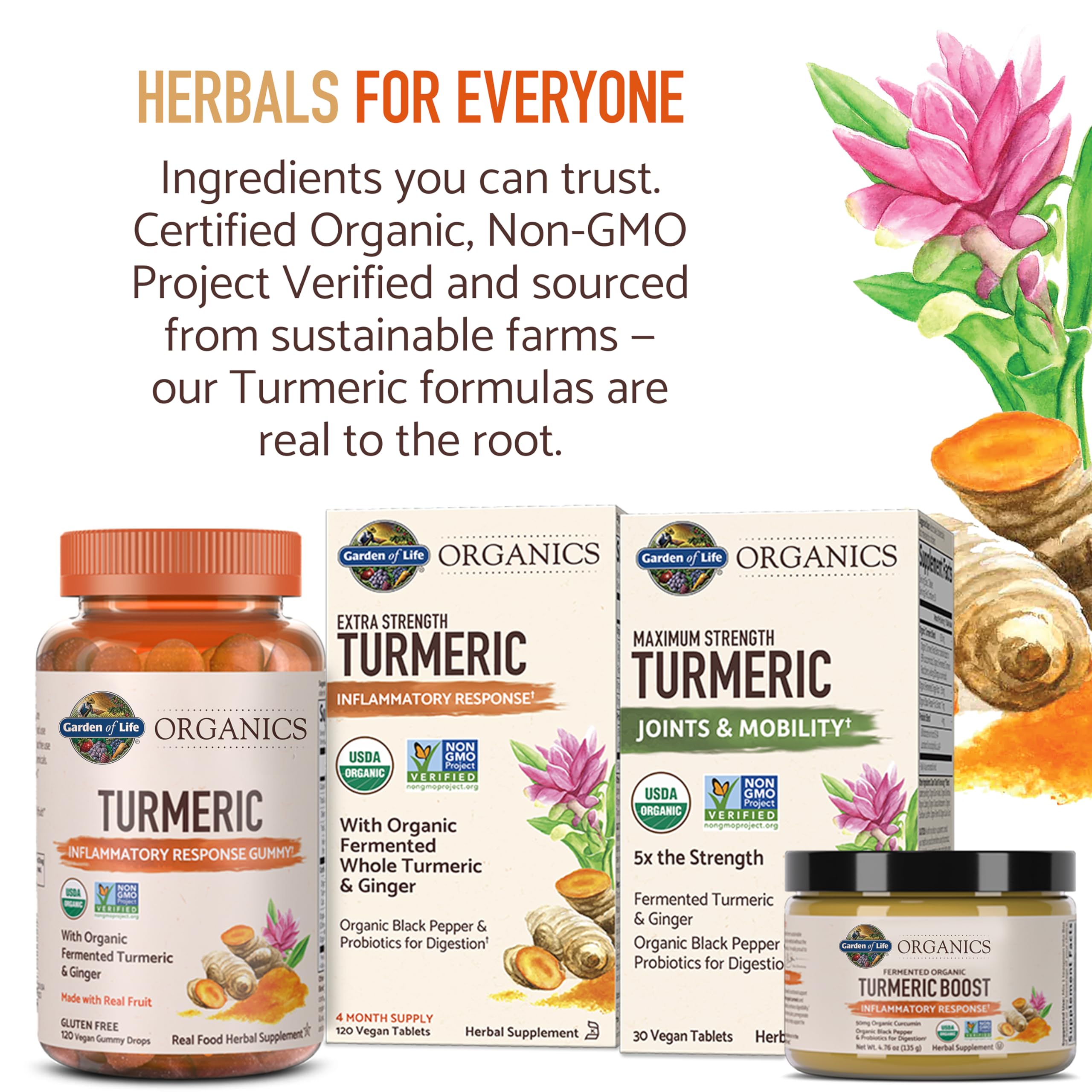 Garden of Life raíces de cúrcuma y jengibre como ingredientes orgánicos