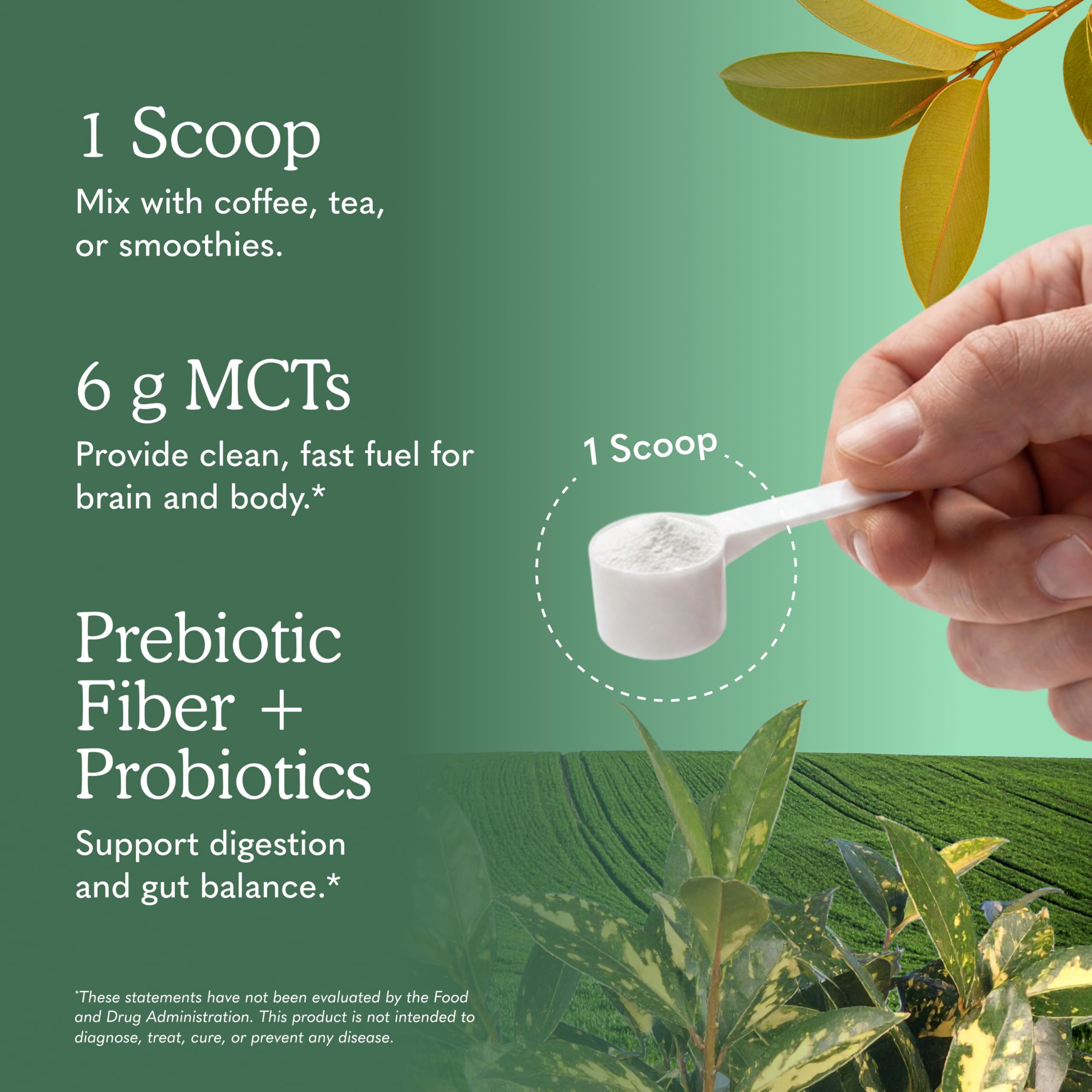 Garden of Life ingredientes orgánicos: cocos y fibra prebiótica visibles