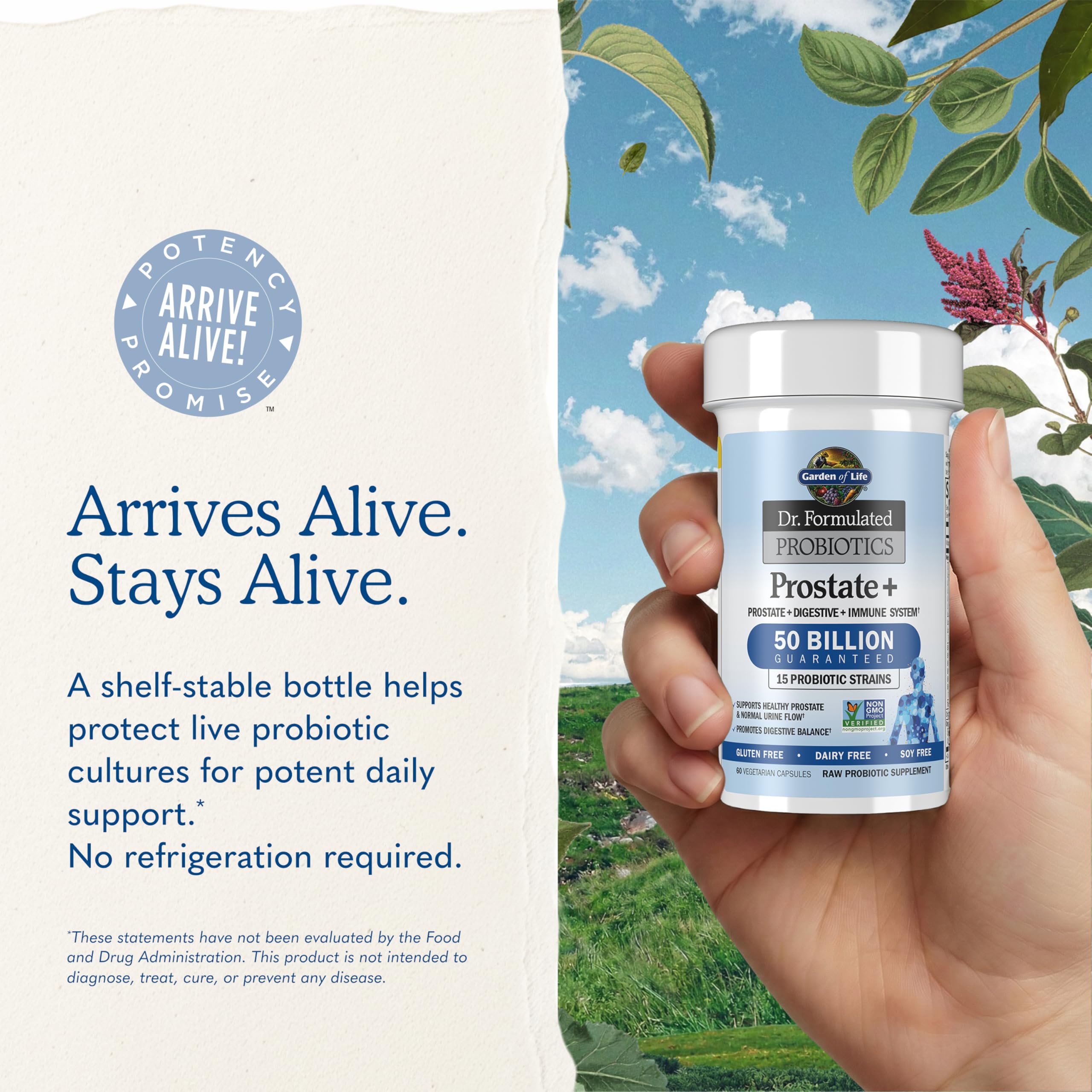 Comparación de tamaño Garden of Life Prostate Plus junto a una mano para mostrar escala real