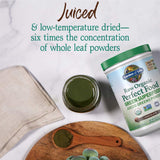 Garden of Life smoothie en tazón mostrando uso en recetas saludables