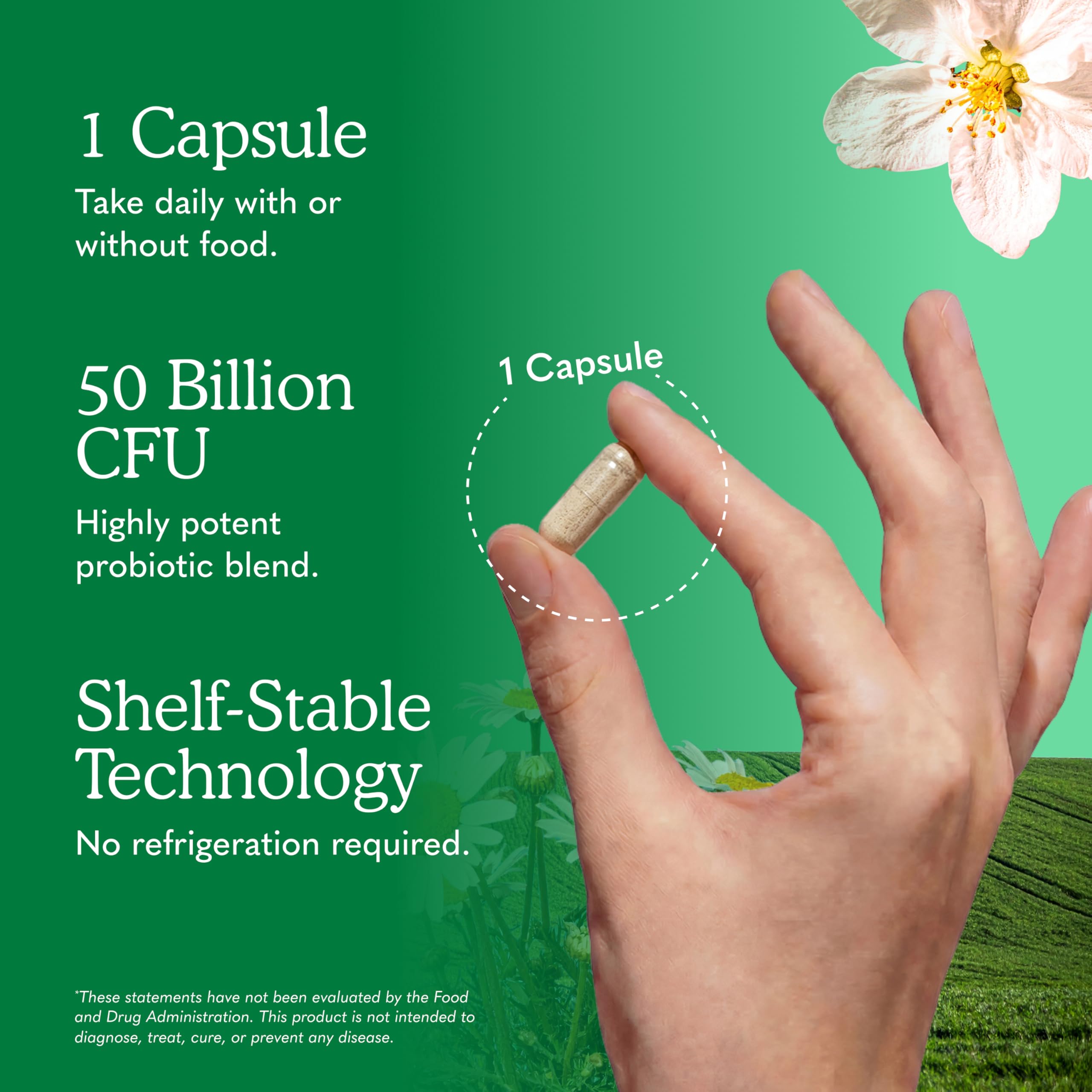 Garden of Life frasco junto a regla para comparar tamaño y cantidad de cápsulas
