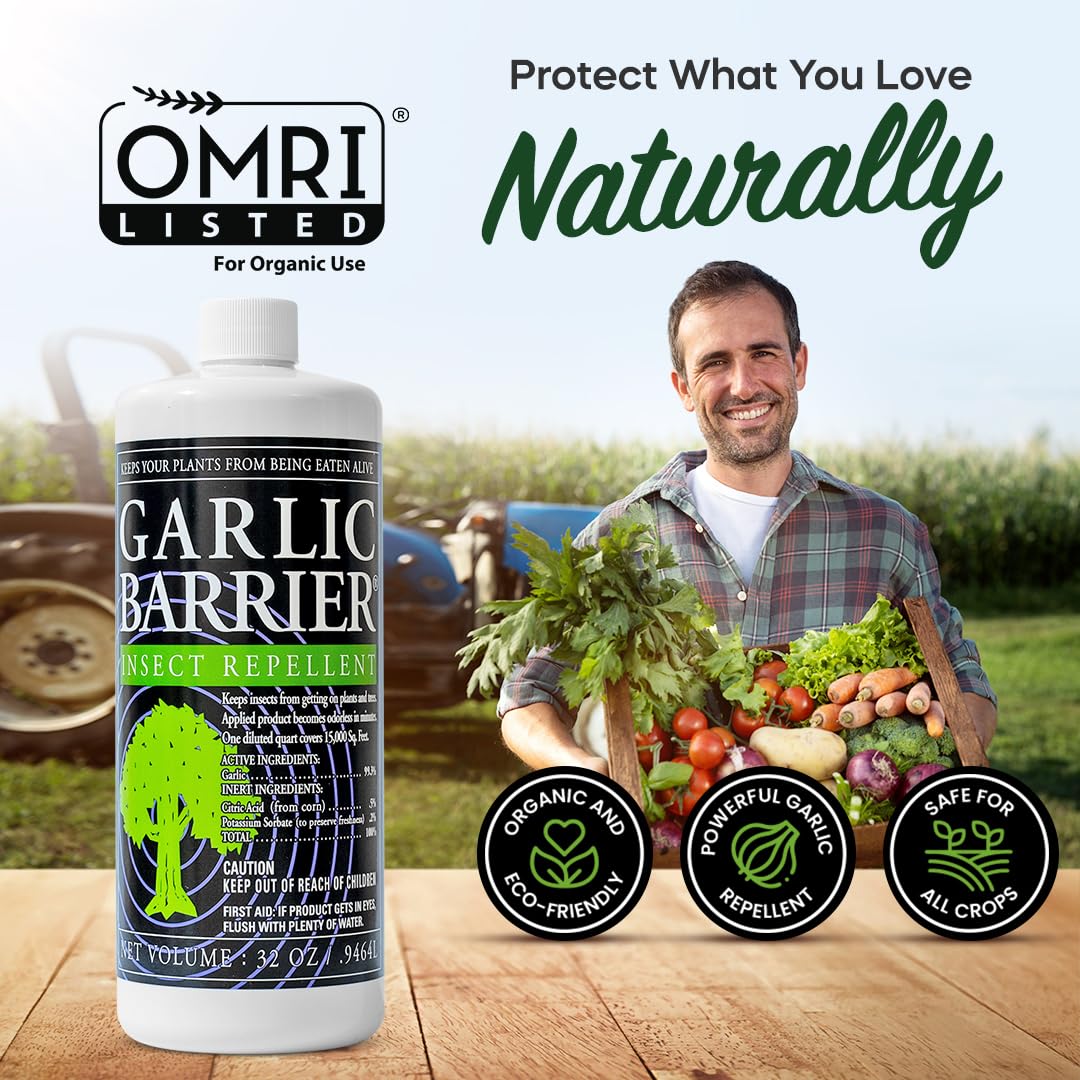 Garlic Barrier paisaje rural con cultivos protegidos y mantenimiento