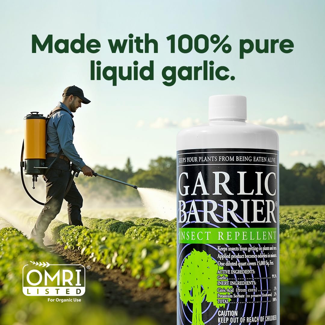 Garlic Barrier tamaño de botella comparado con mano para escala práctica