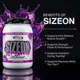 Gaspari SizeOn envase junto a botella para comparar tamaño y porciones
