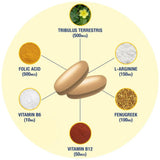 GAT SPORT etiqueta con ingredientes clave DIM fenogreco y longjack