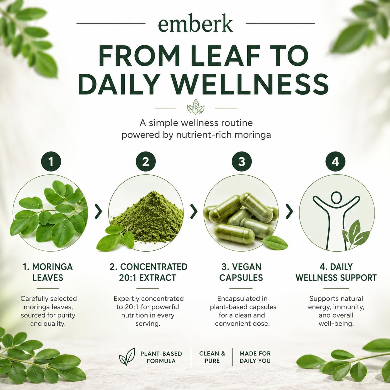 Generic hojas de Moringa y polvo señalando origen natural