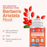 Genex Formulas raíz de planta usada como ingrediente, origen natural claro