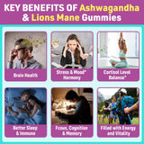GENFOJAS ingredientes ashwagandha y lion's mane para apoyo cognitivo