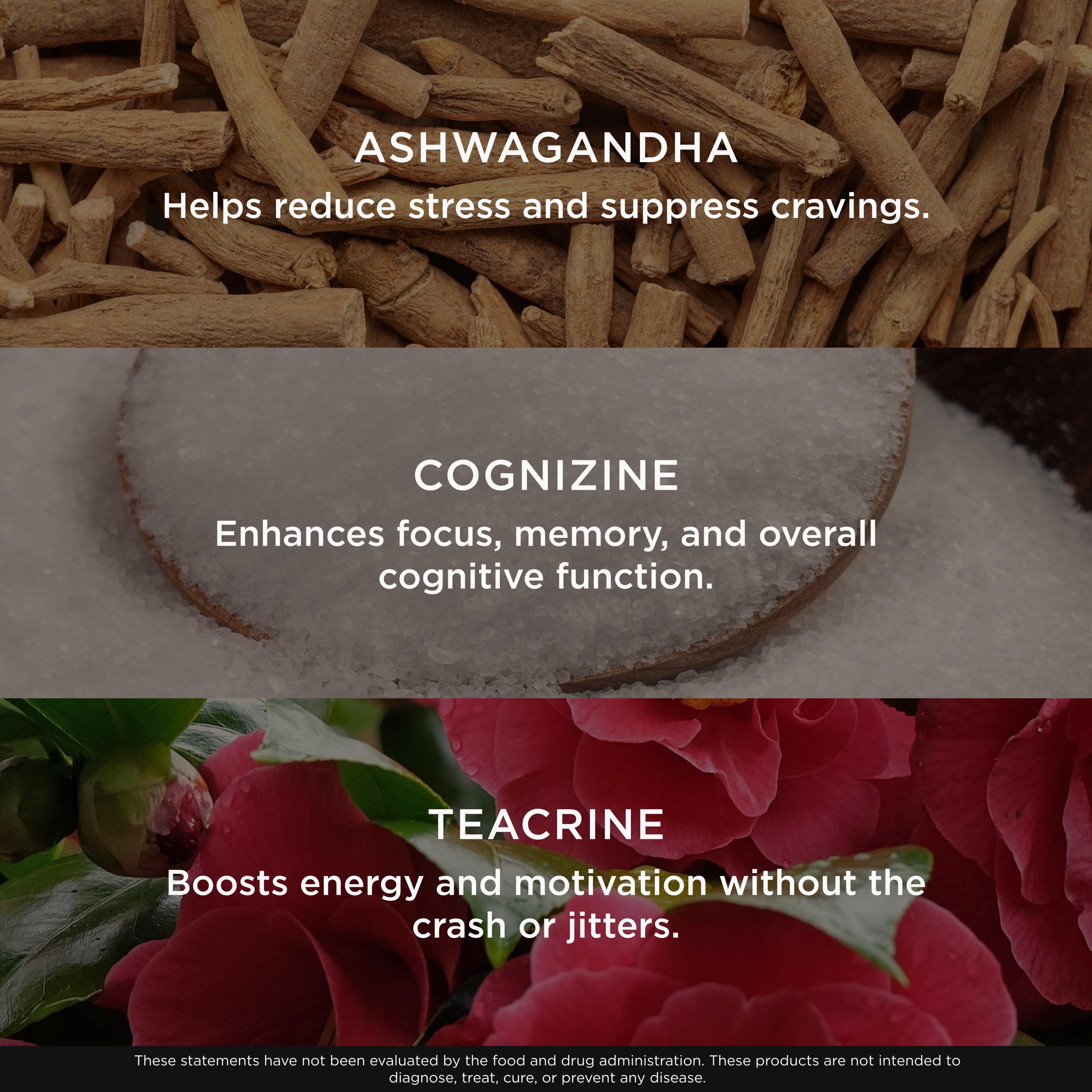 Comparación de tamaño del bote Genius Thermogenic con una mano para visualización del contenido