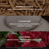 Comparación de tamaño del bote Genius Thermogenic con una mano para visualización del contenido