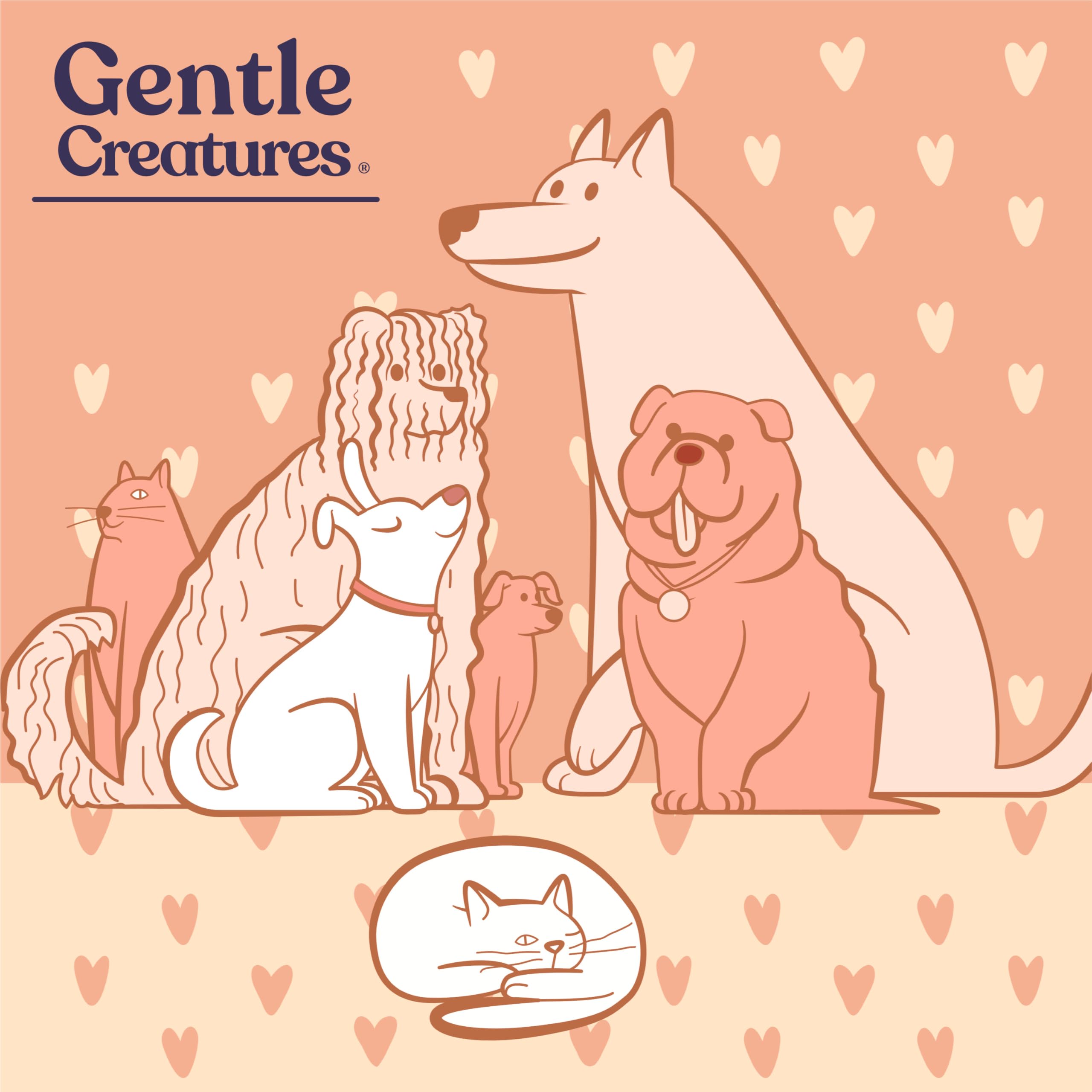 Gentle Creatures etiqueta con información de calcio y origen transparente