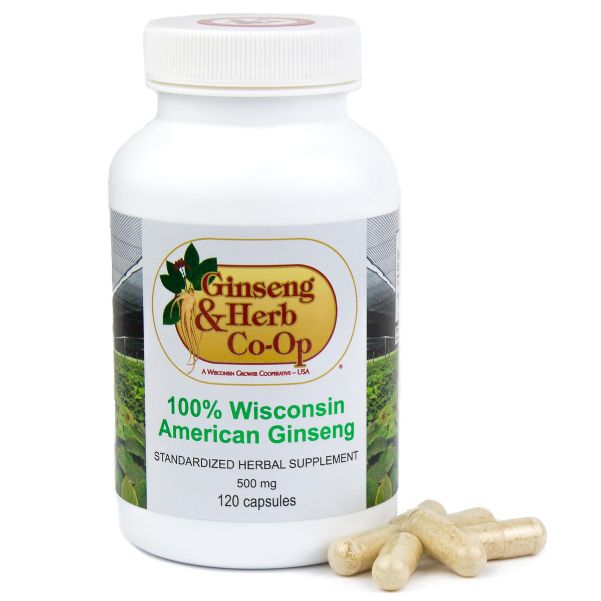 GINSENG & HERB CO-OP frasco frontal mostrando cápsulas puras y claridad de origen