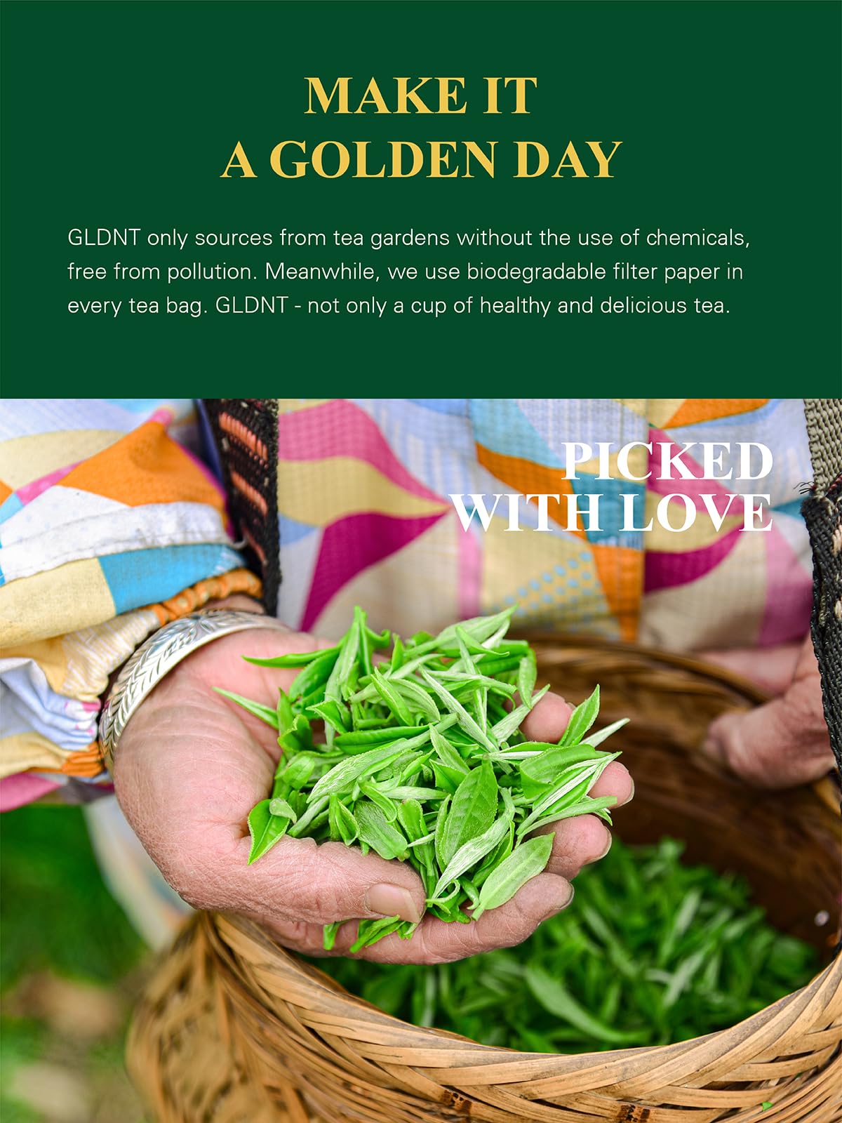 GLDNT taza humeante de té verde mostrando color y claridad